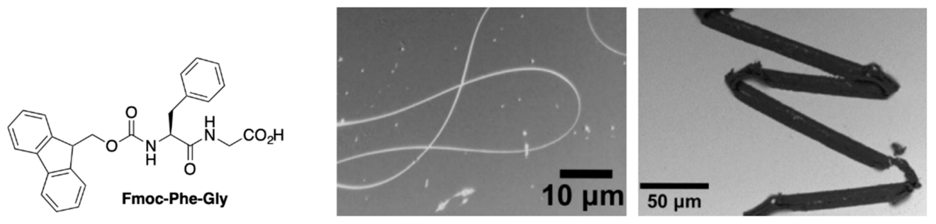 Nanomaterials 11 01262 g003