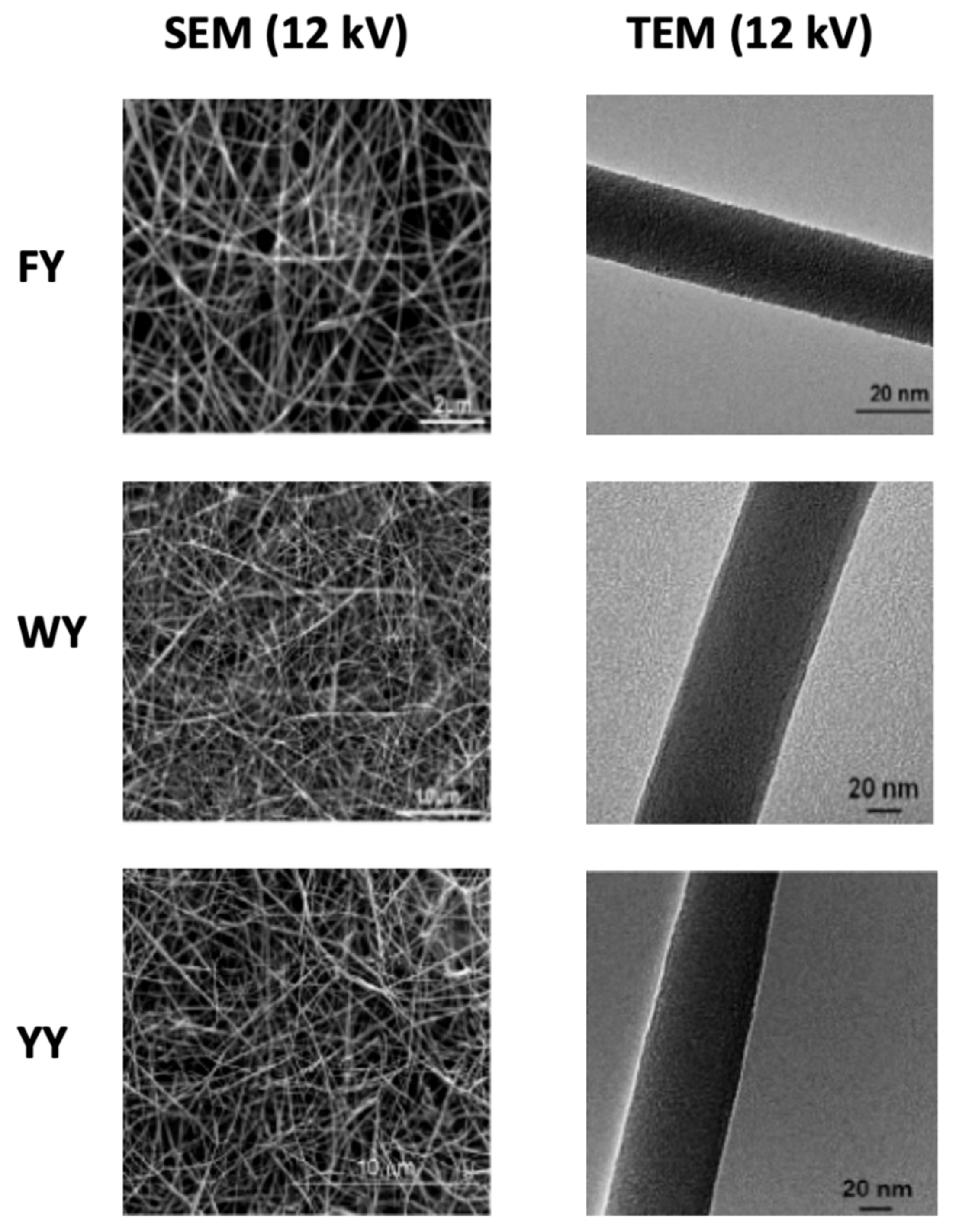 Nanomaterials 11 01262 g004