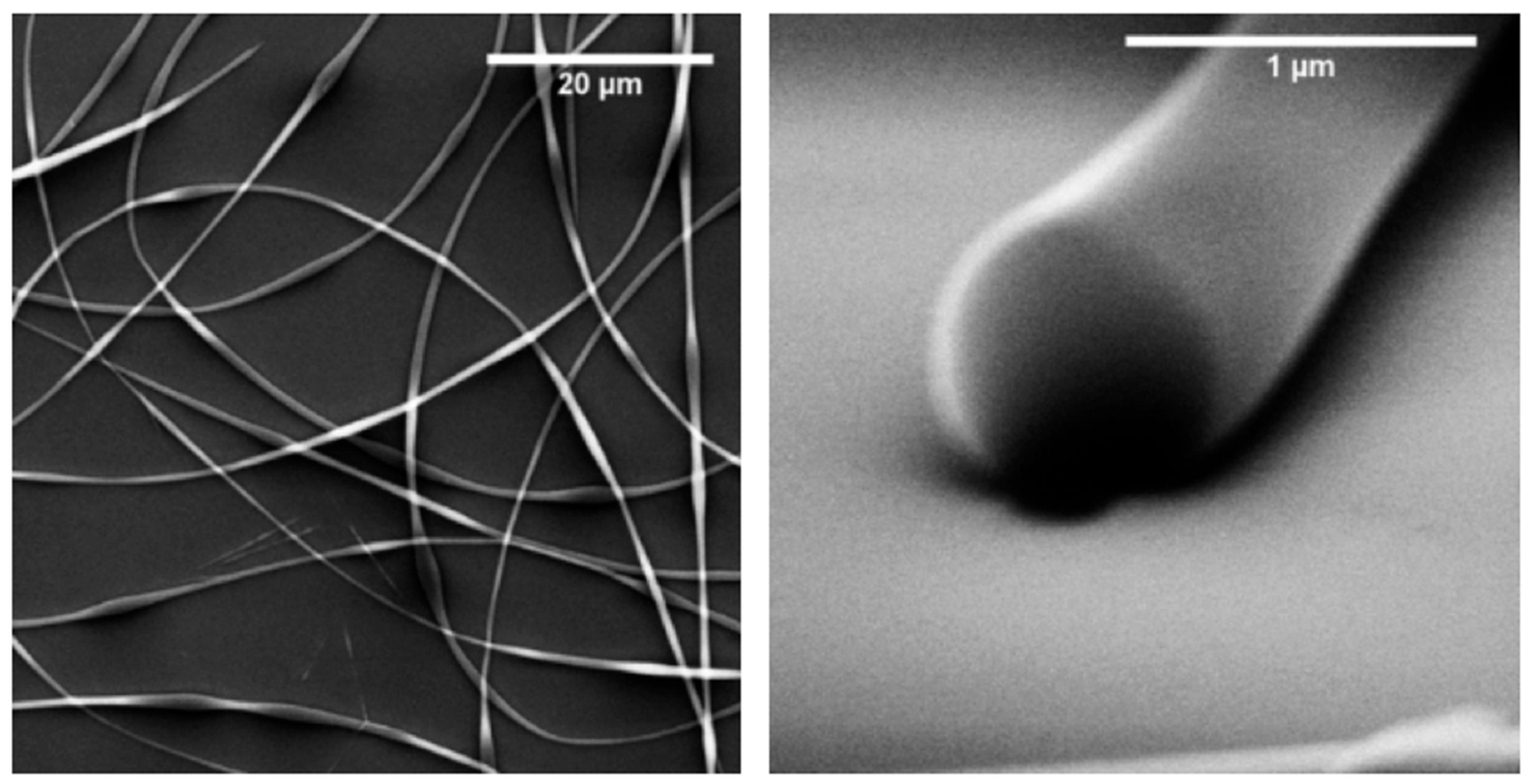 Nanomaterials 11 01262 g008