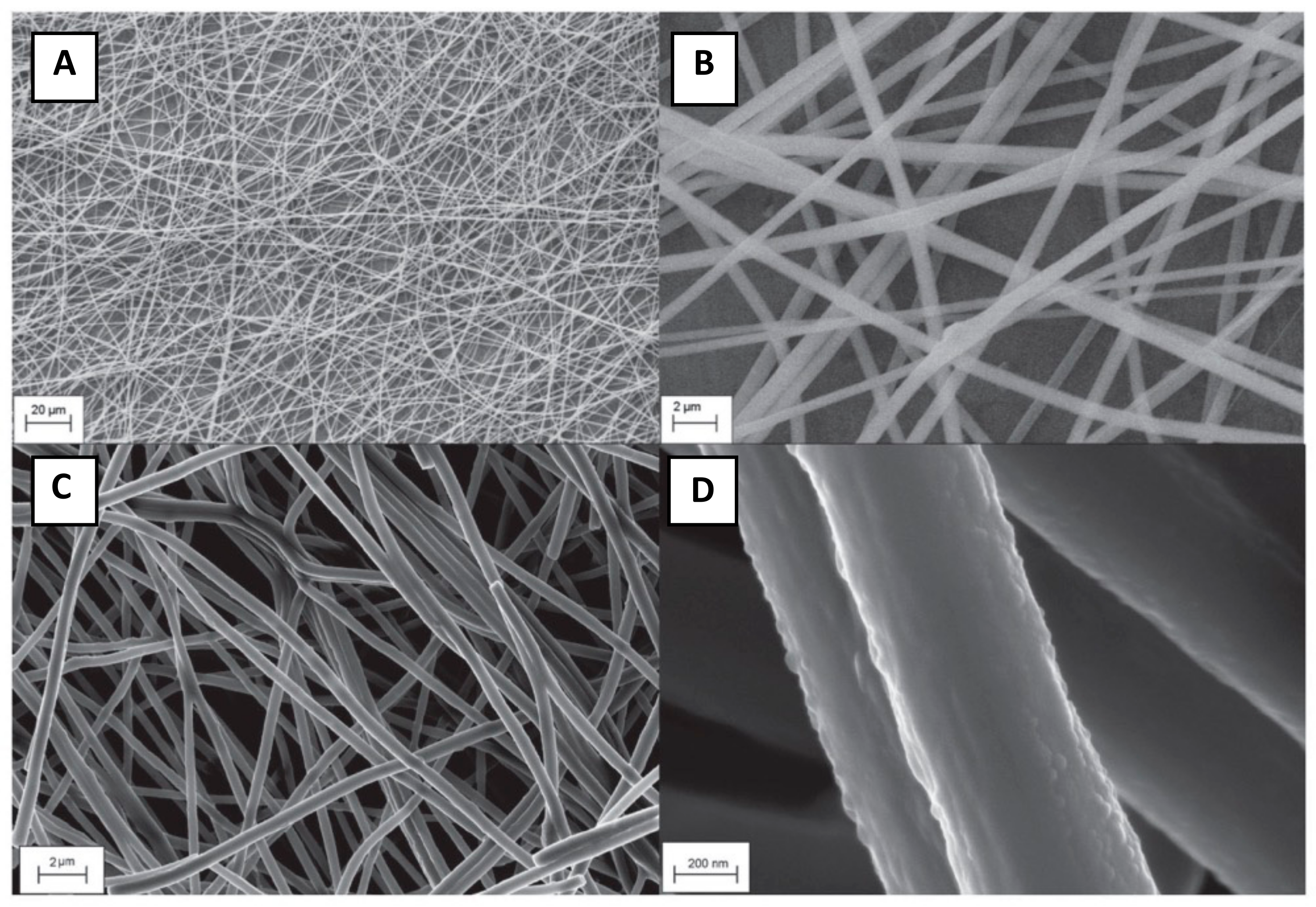 Nanomaterials 11 01262 g011