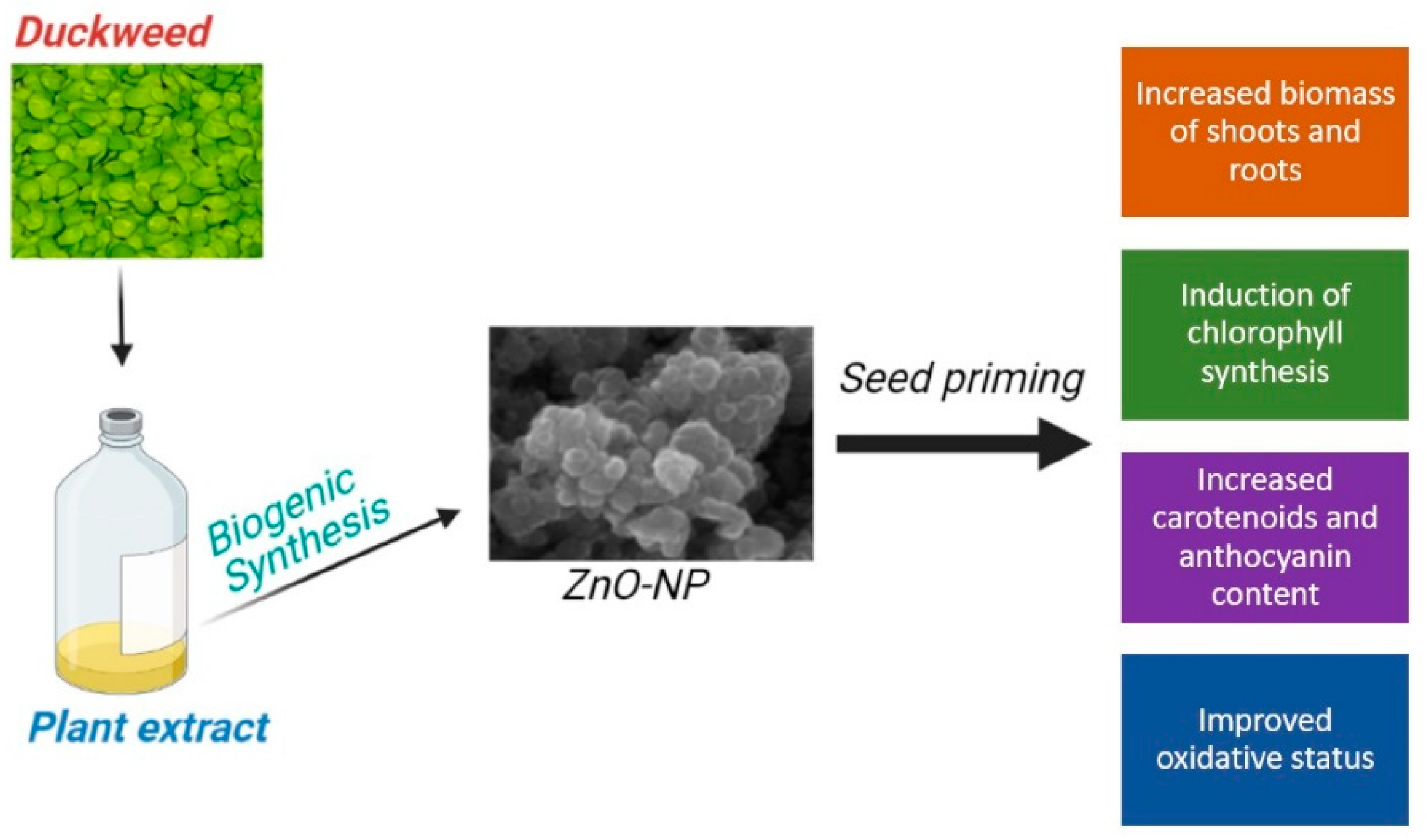 Nanomaterials 11 01270 g009 Nanomaterials 11 01270 g009