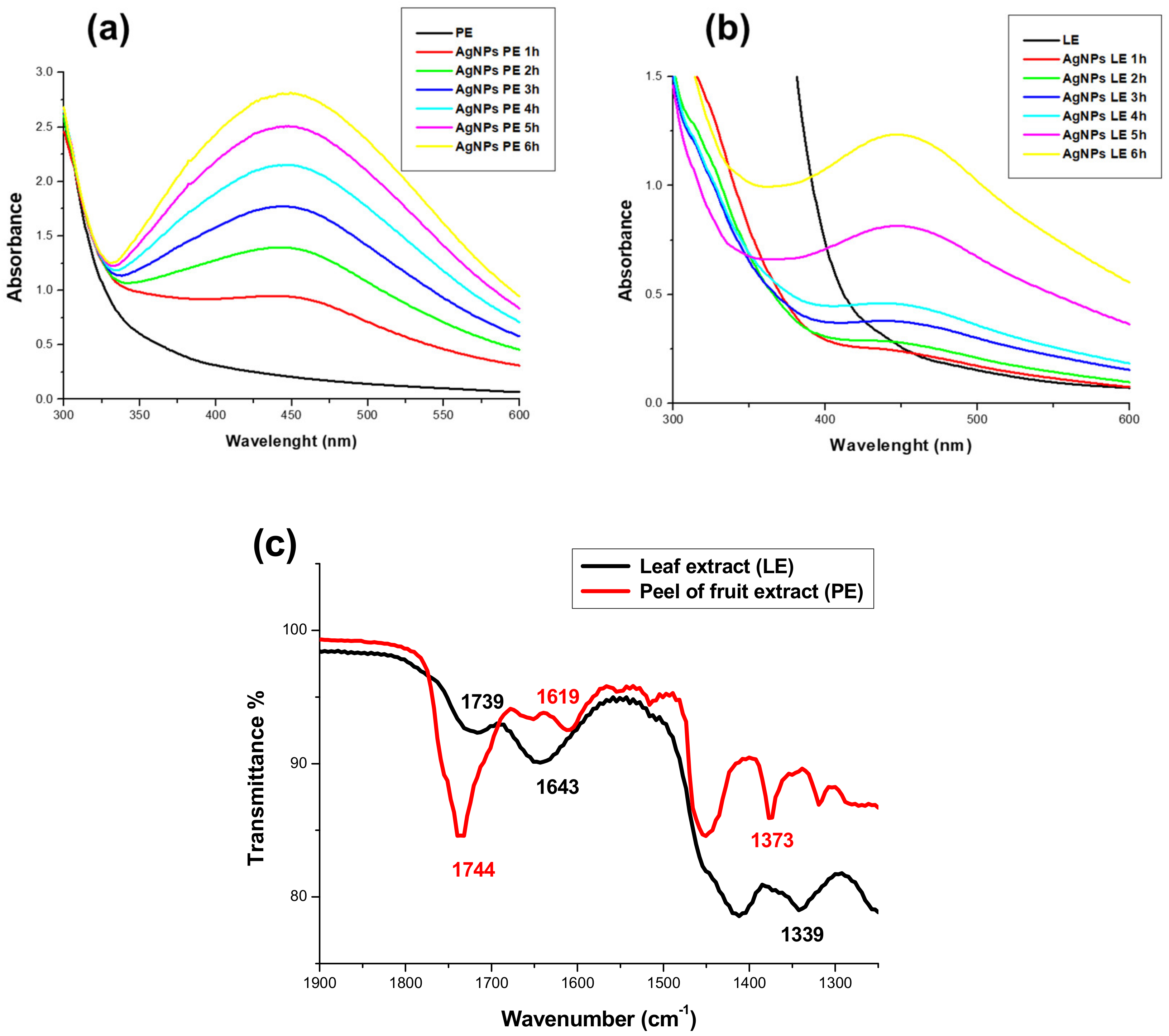 Nanomaterials 11 01273 g001