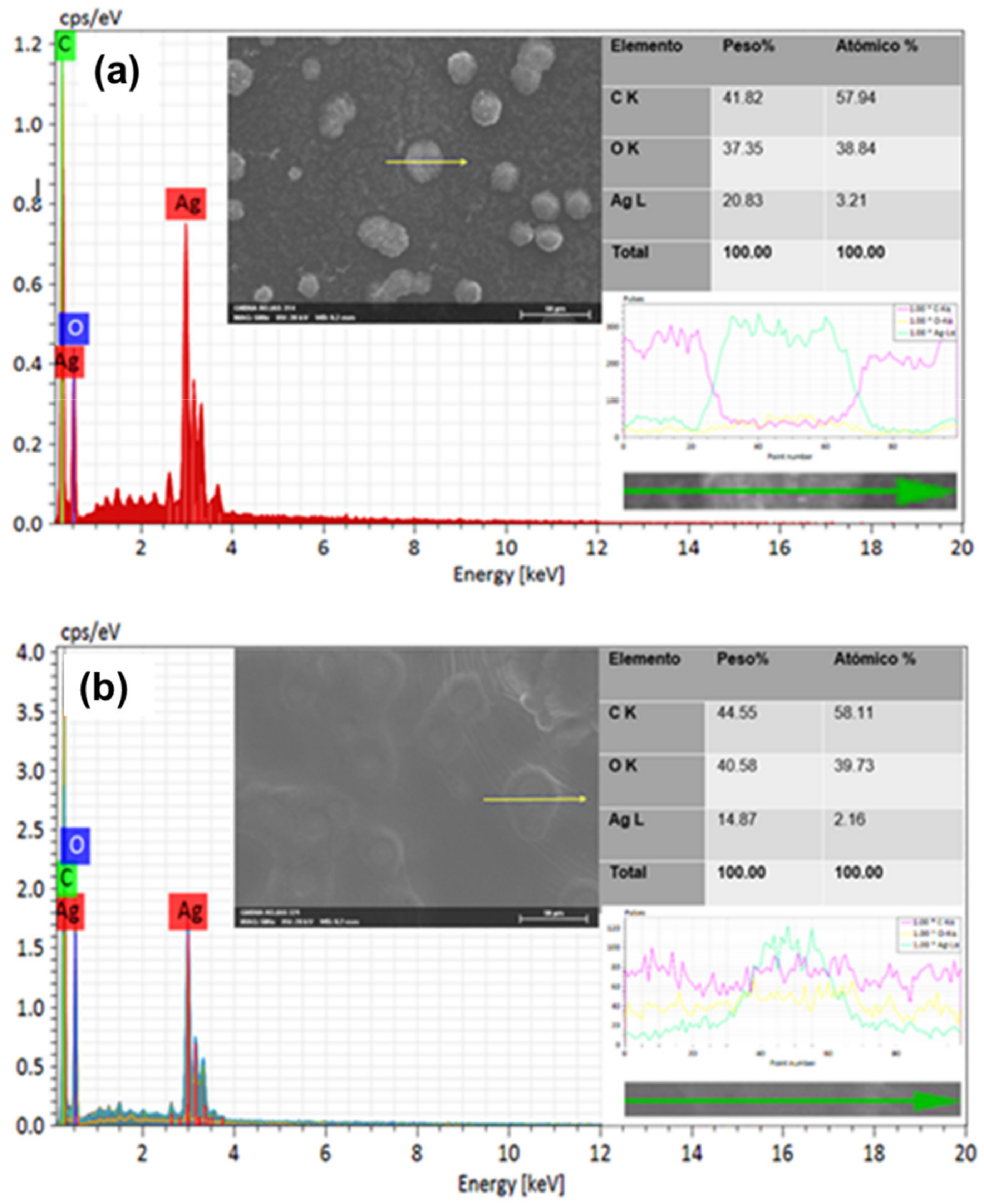 Nanomaterials 11 01273 g002