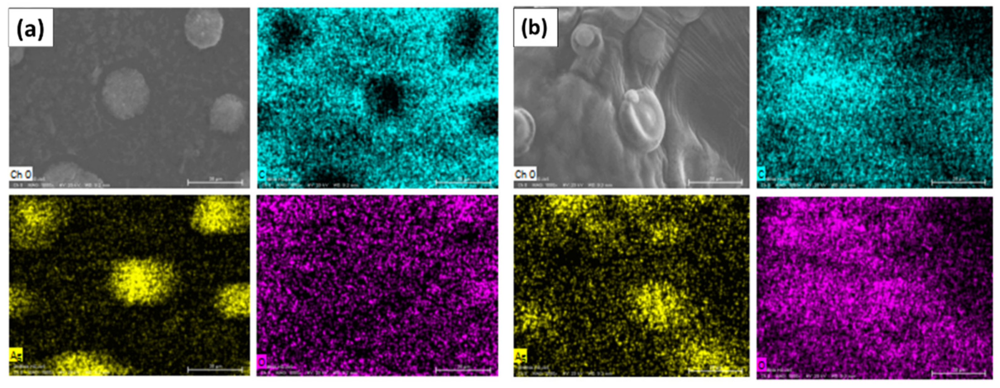 Nanomaterials 11 01273 g003