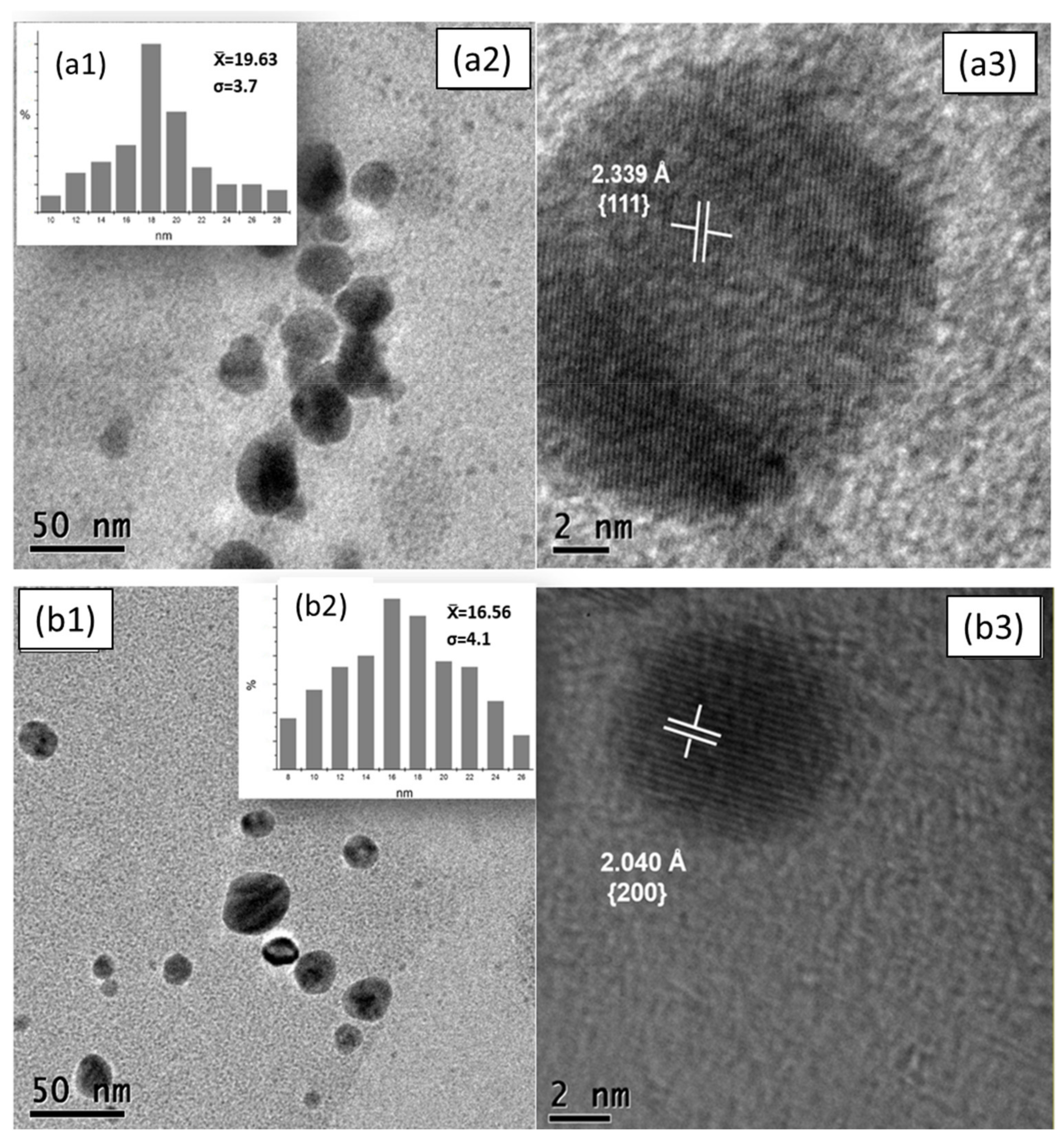 Nanomaterials 11 01273 g004