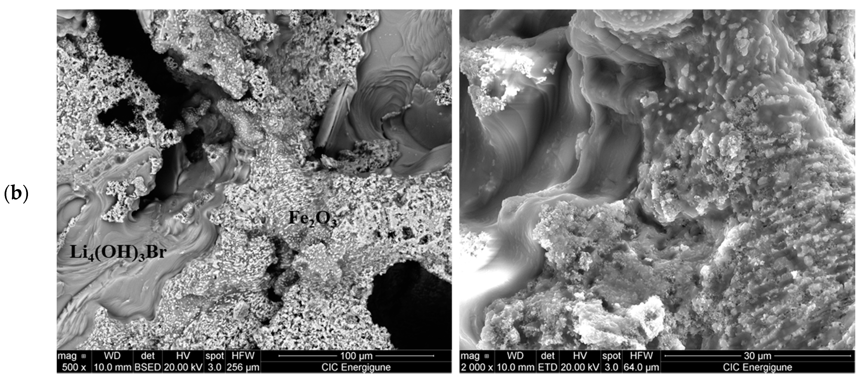 Nanomaterials 11 01279 g005b