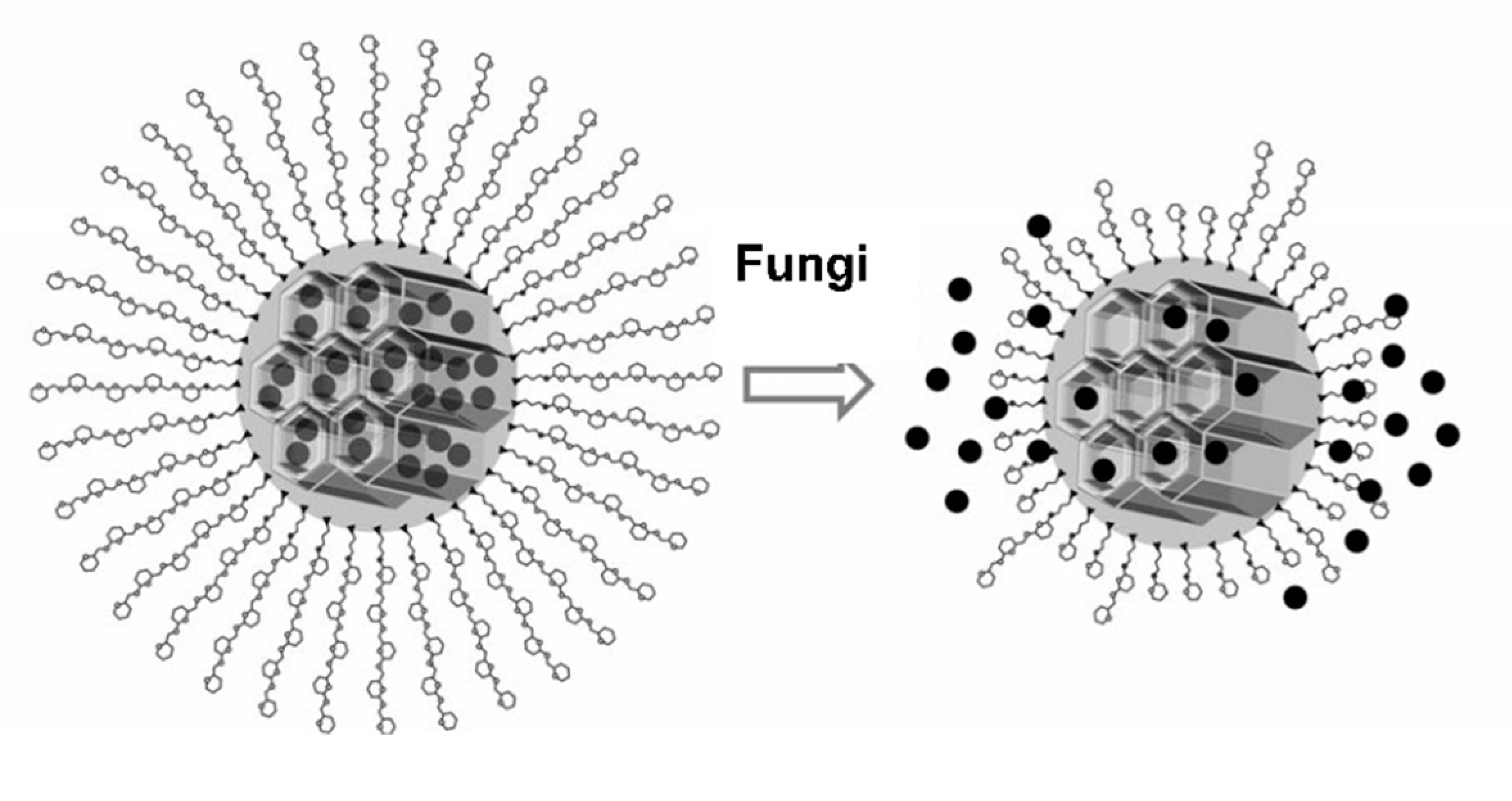 Nanomaterials 11 01280 g001