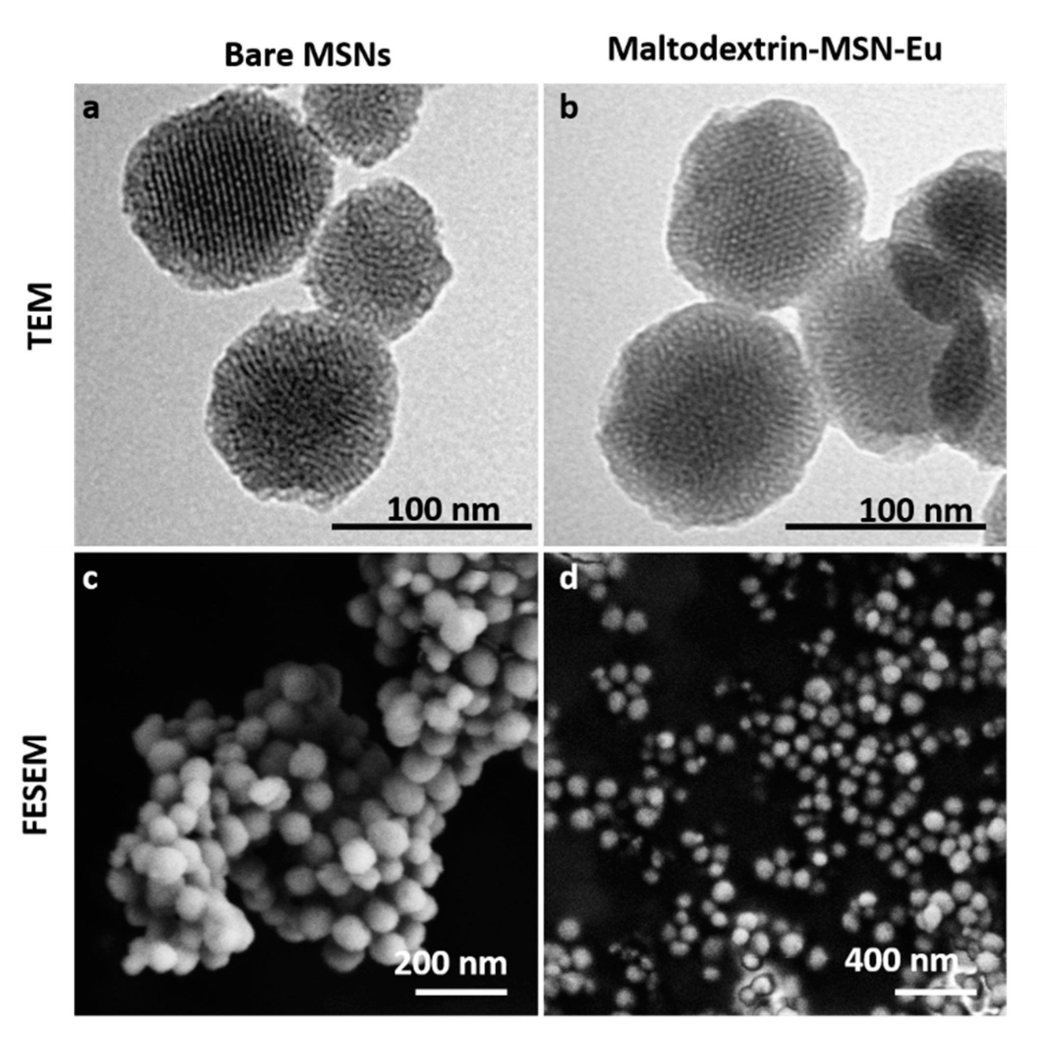 Nanomaterials 11 01280 g004