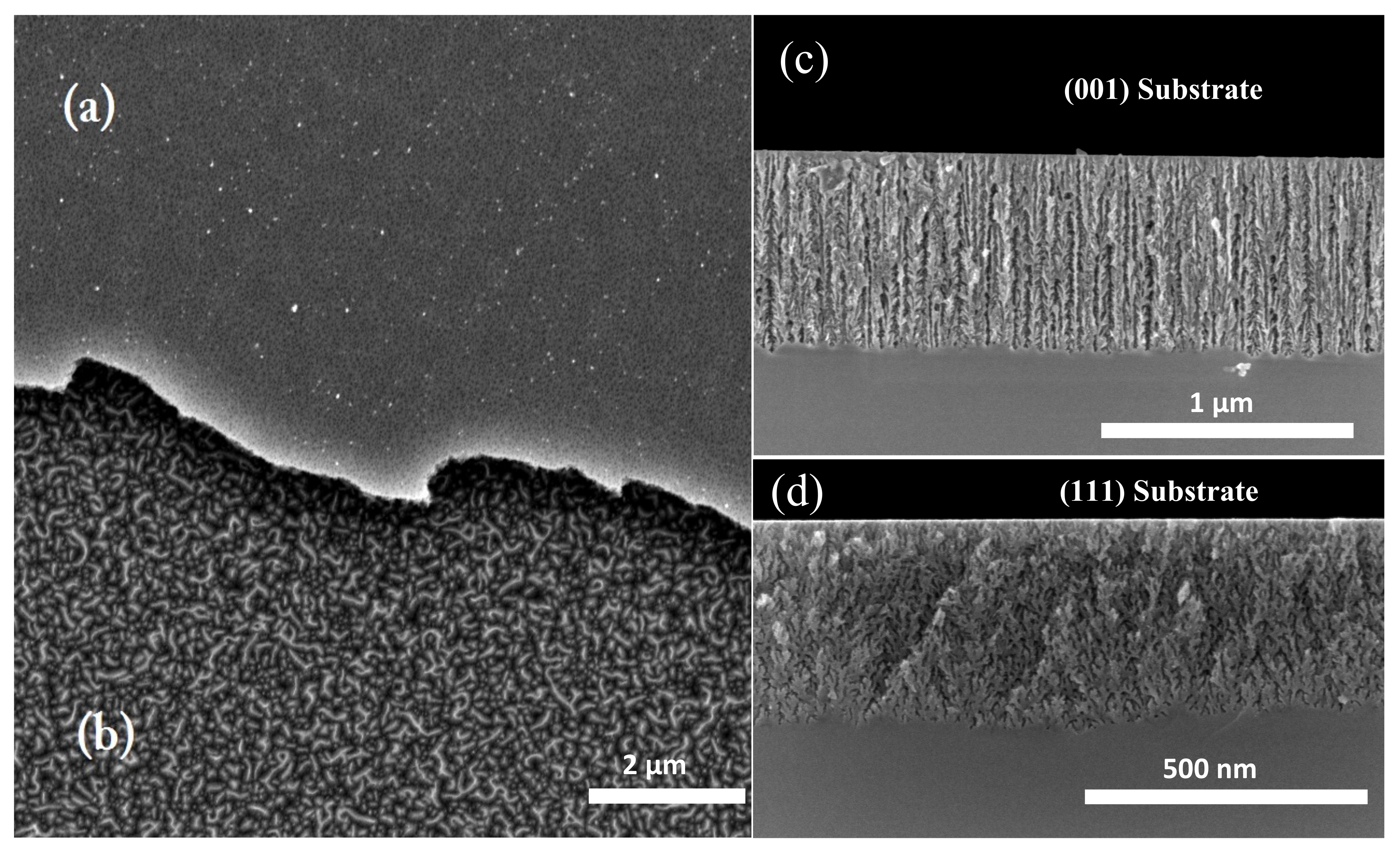 Nanomaterials 11 01314 g001