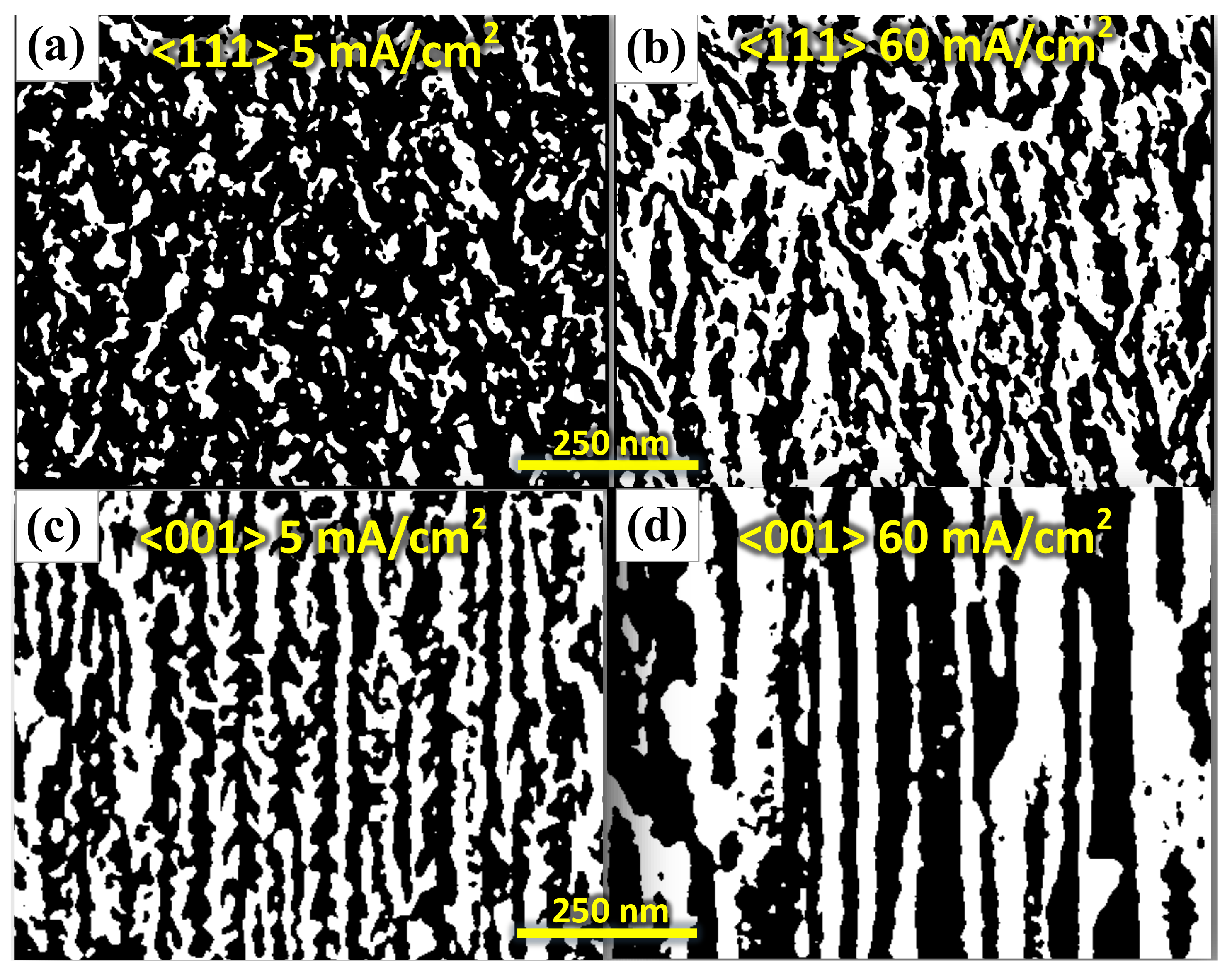 Nanomaterials 11 01314 g006