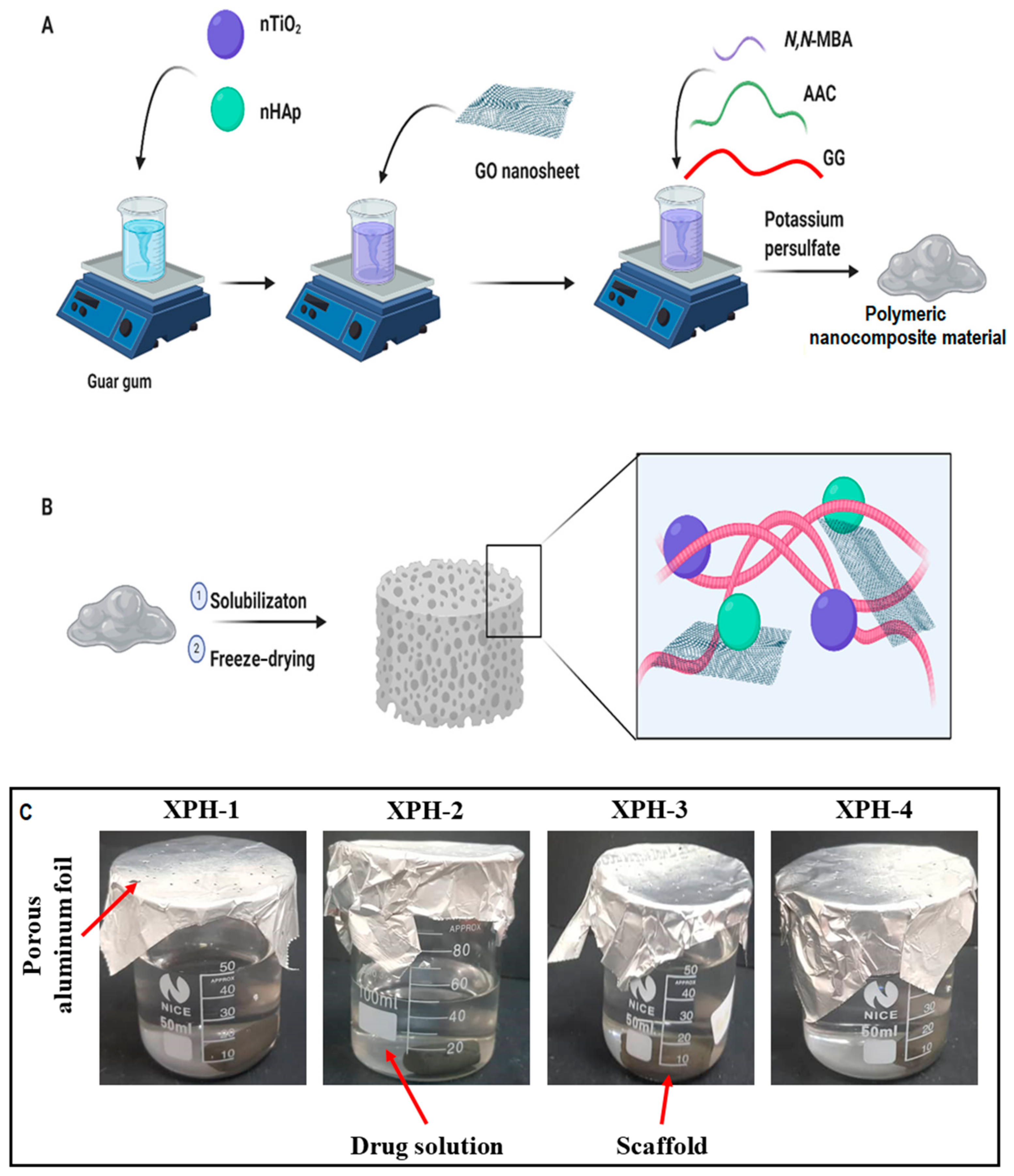 Nanomaterials 11 01319 g001