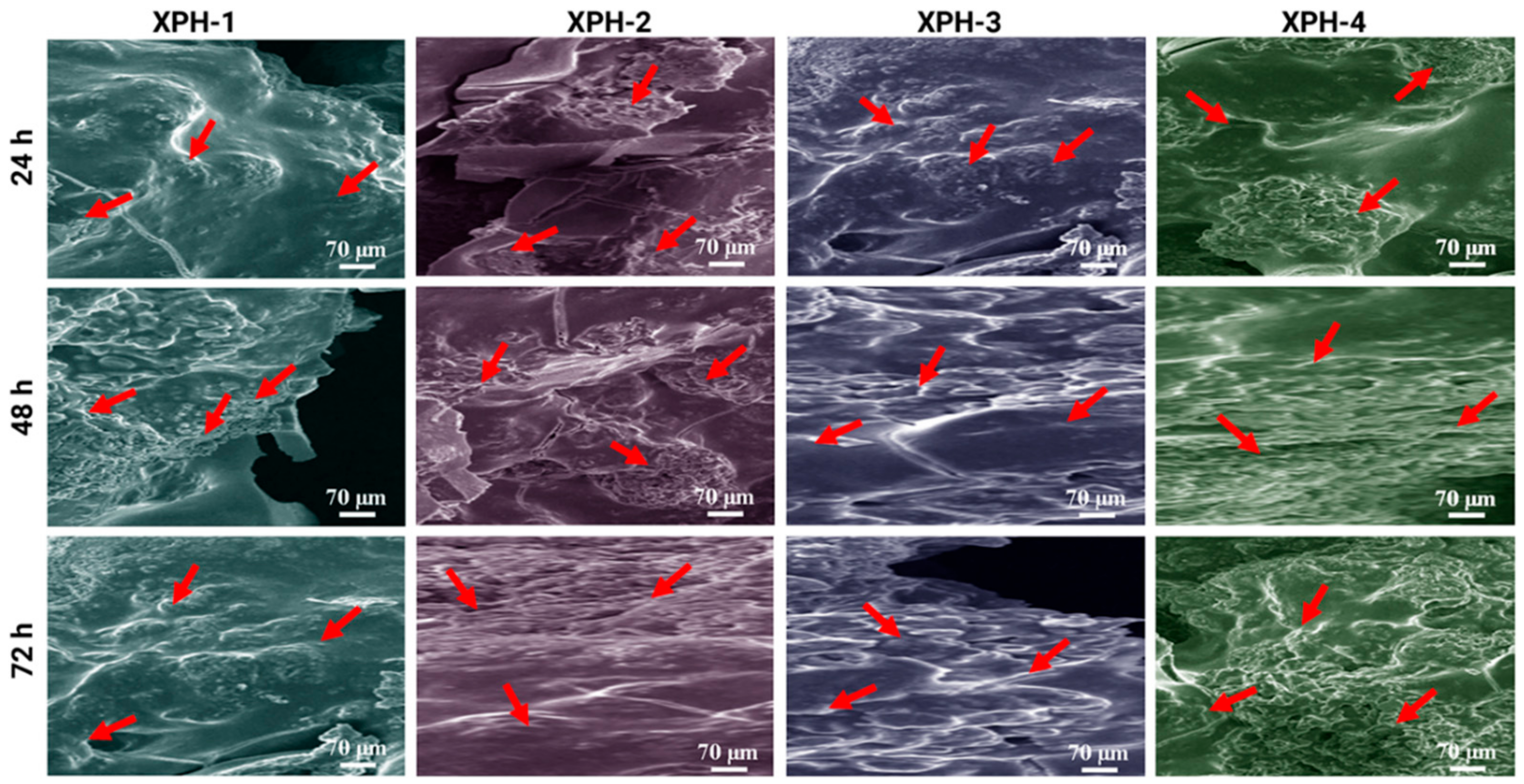 Nanomaterials 11 01319 g009