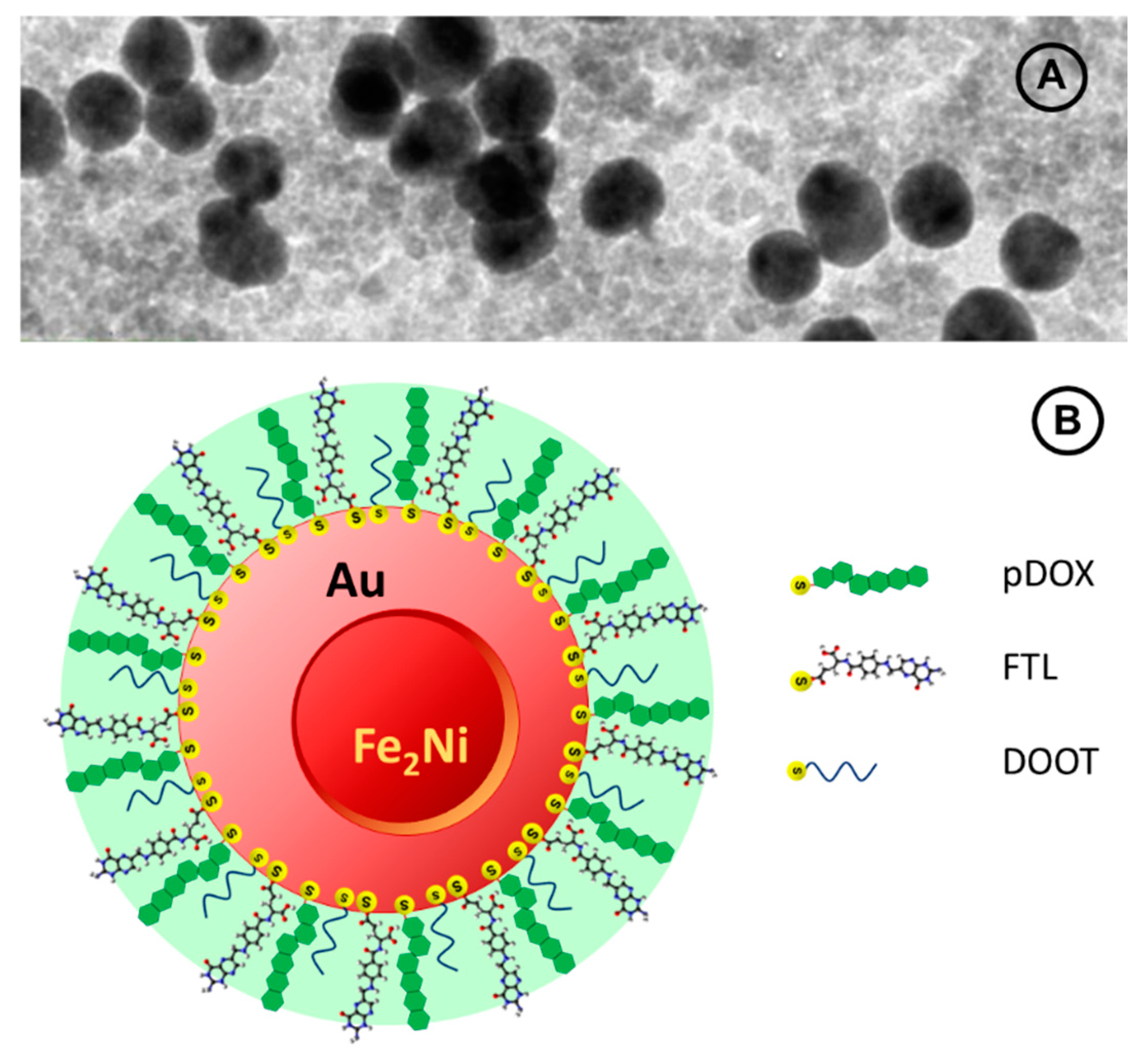 Nanomaterials 11 01326 sch003