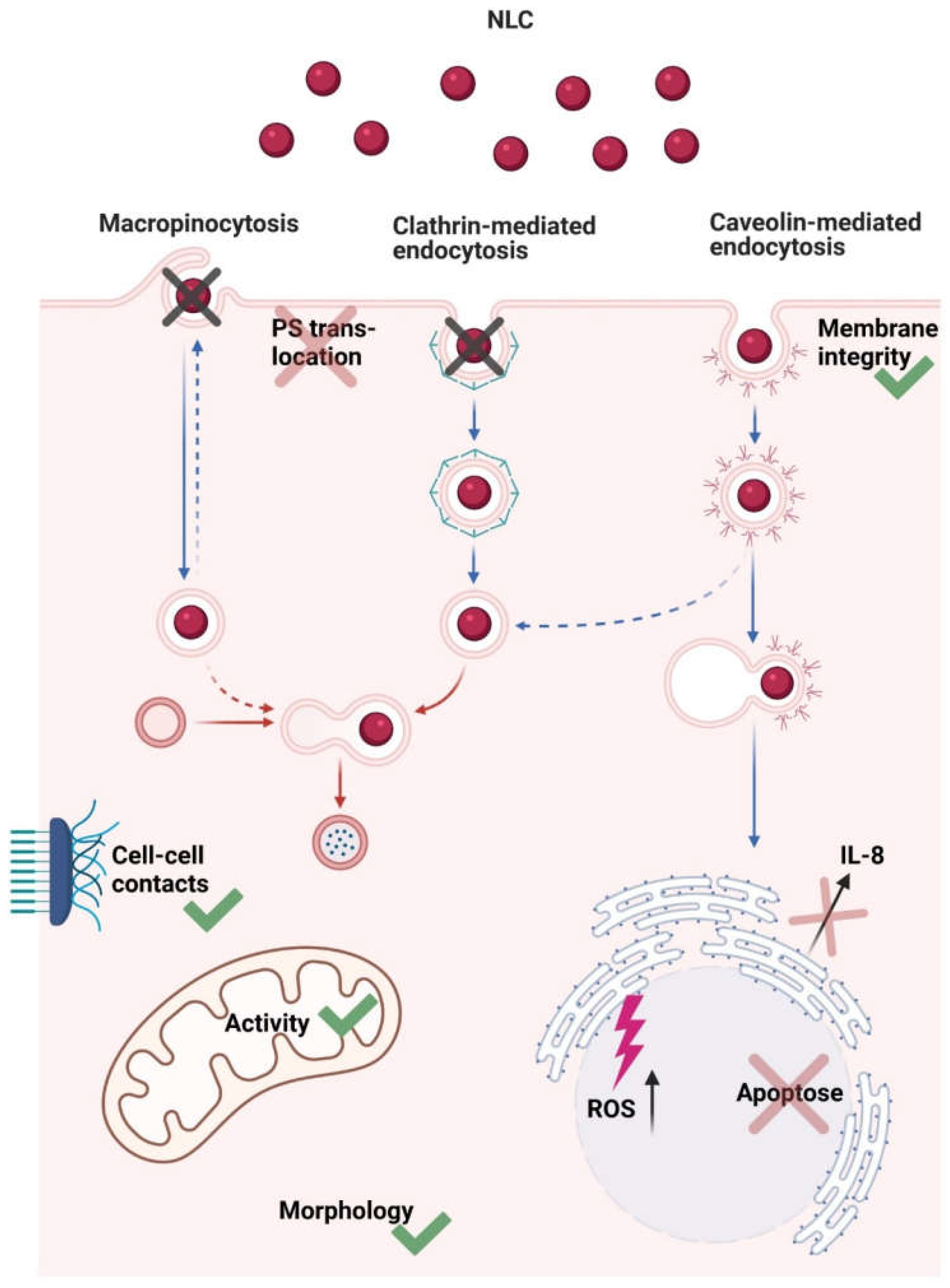 Nanomaterials 11 01330 g008