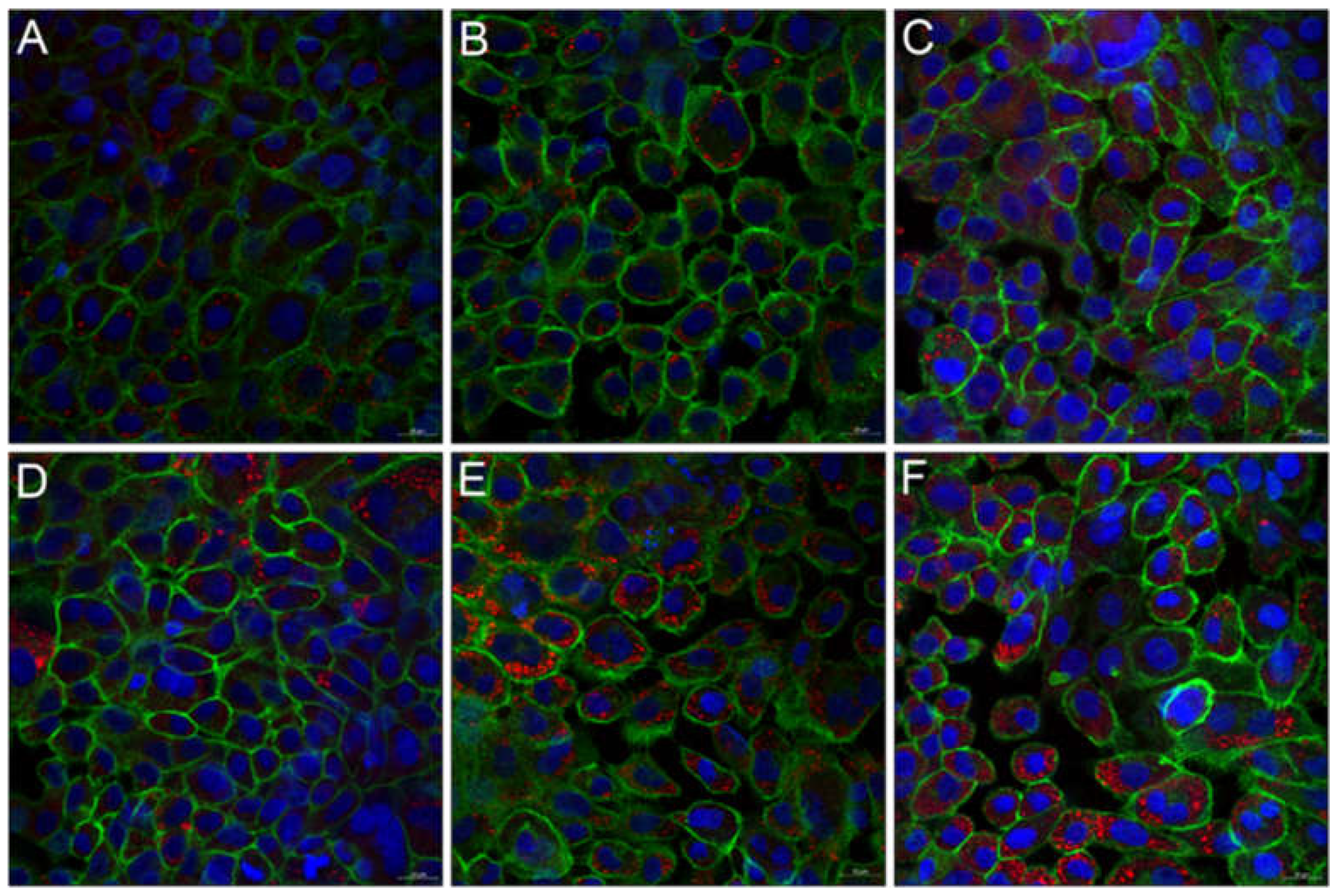 Nanomaterials 11 01330 g009