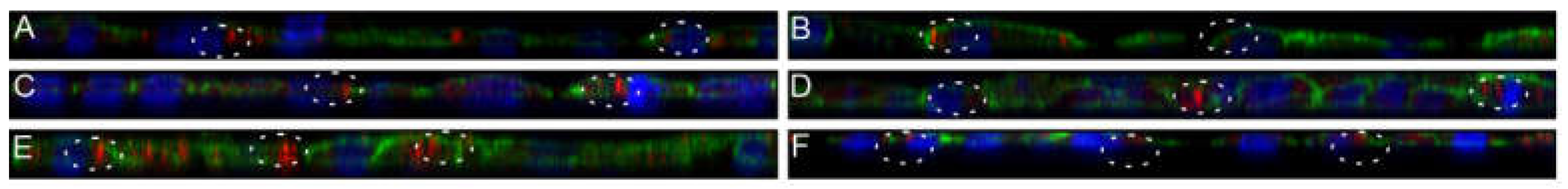 Nanomaterials 11 01330 g010