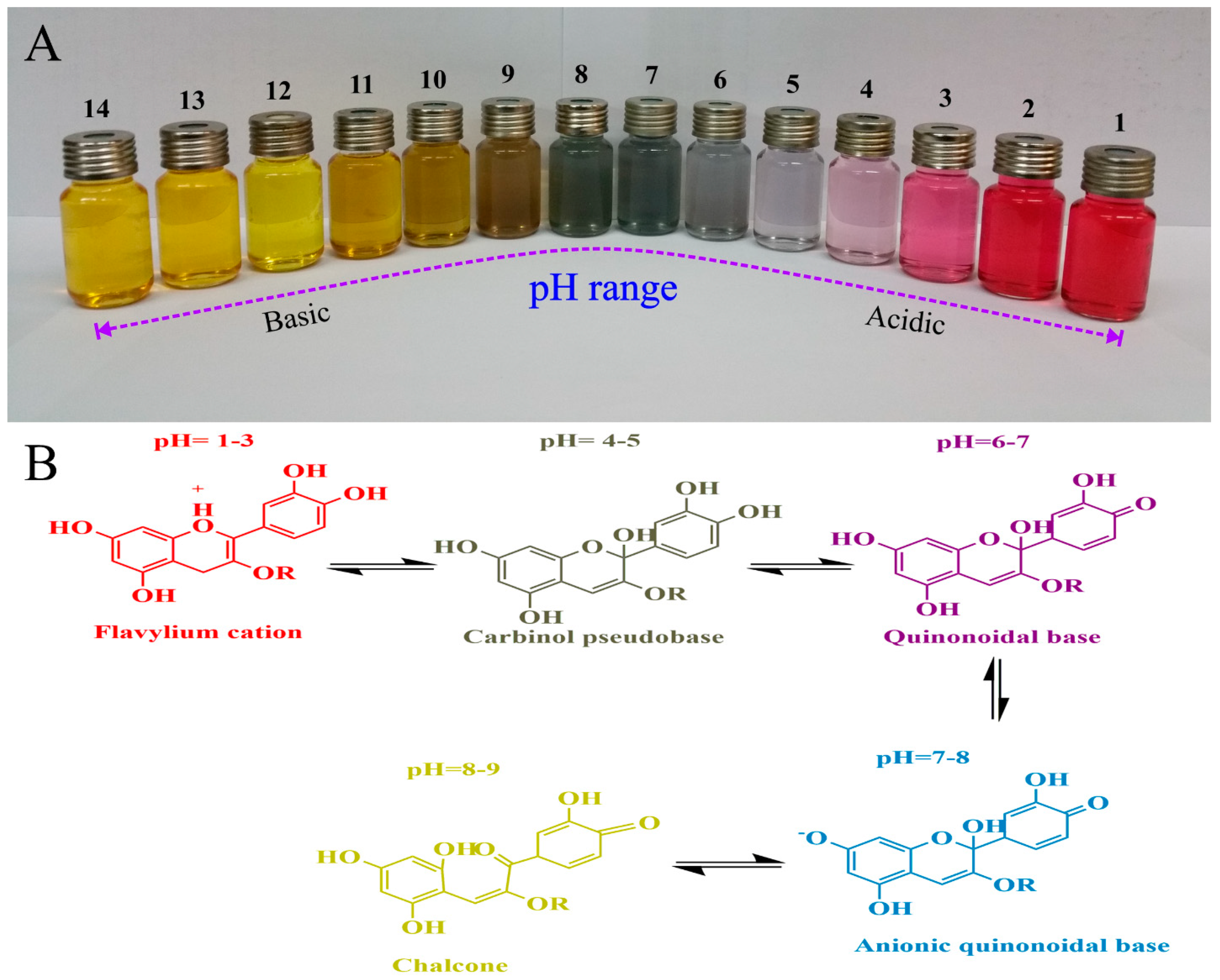 Nanomaterials 11 01331 g004
