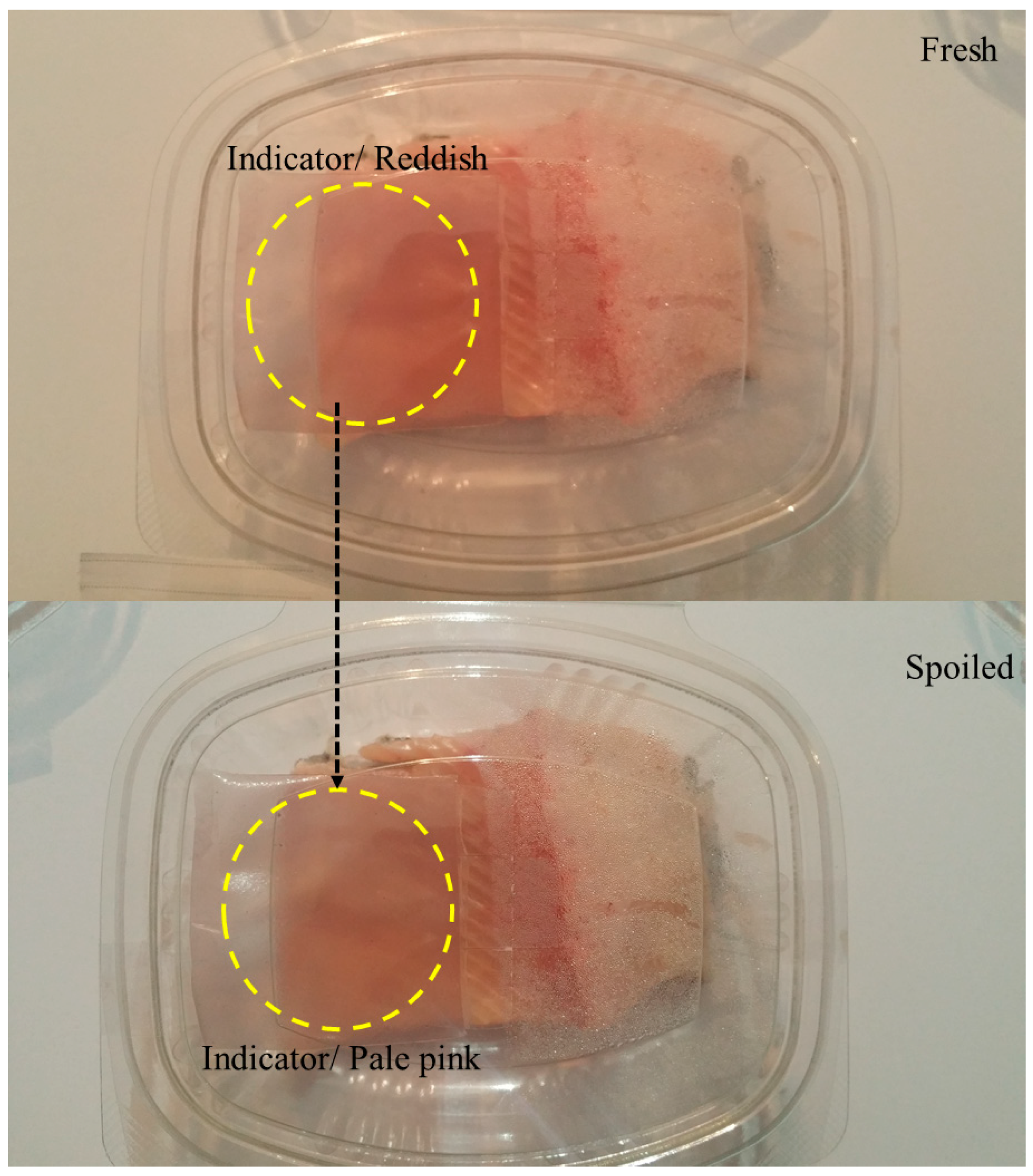 Nanomaterials 11 01331 g005