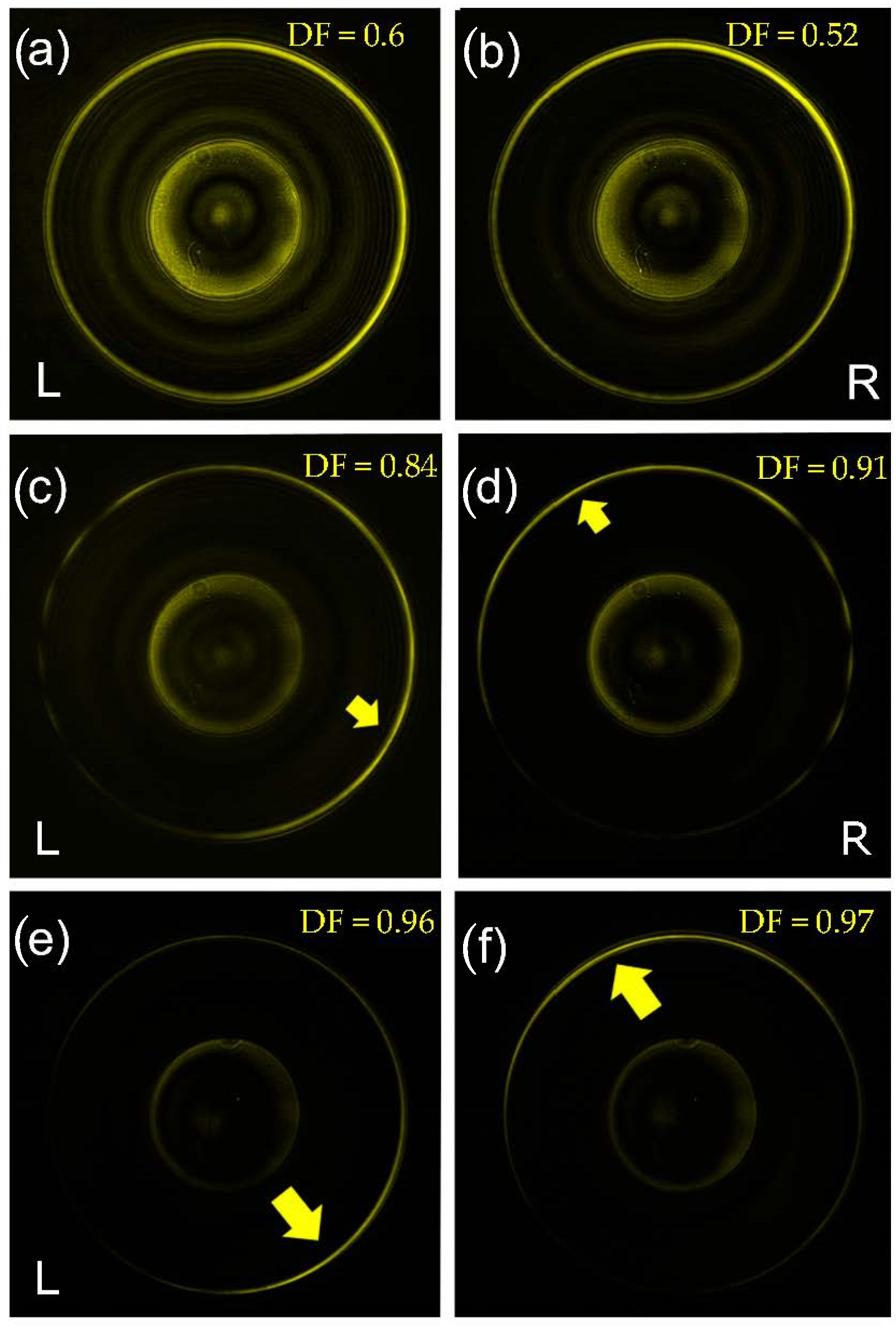 Nanomaterials 11 01333 g002 Nanomaterials 11 01333 g002