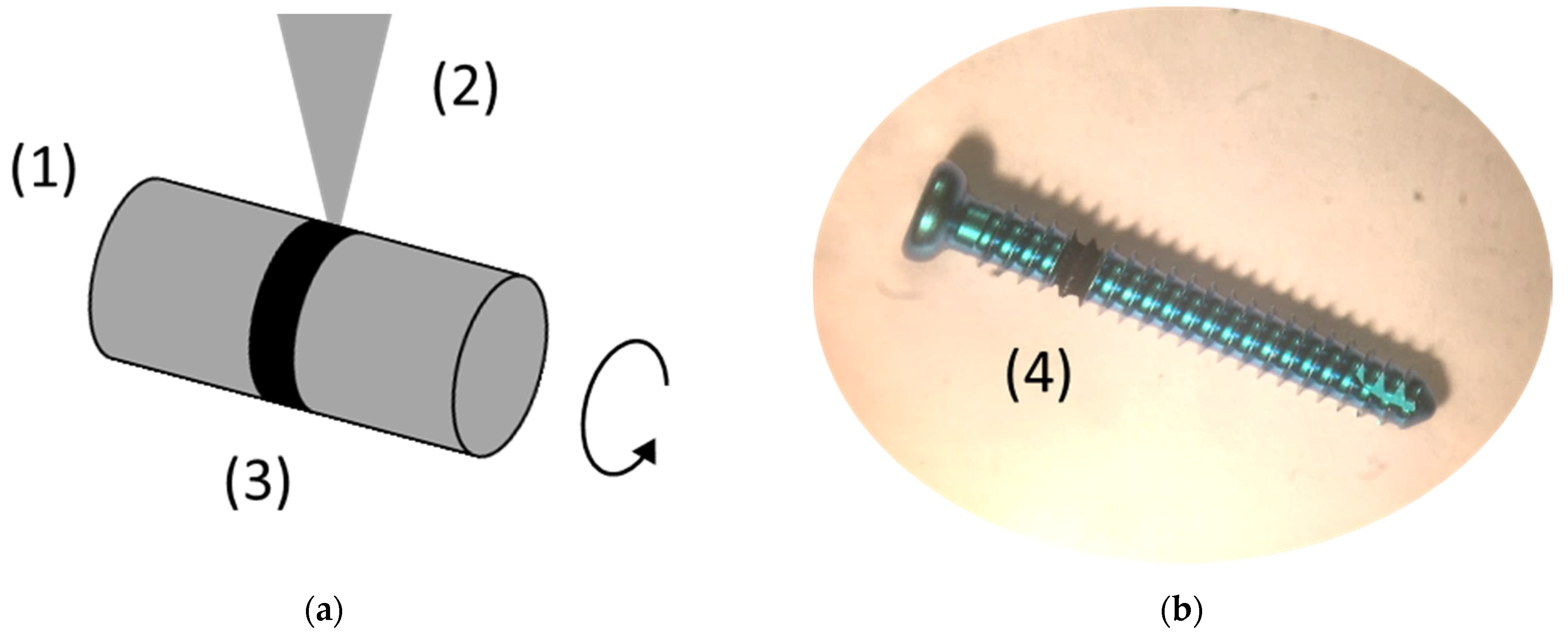 Nanomaterials 11 01342 g001