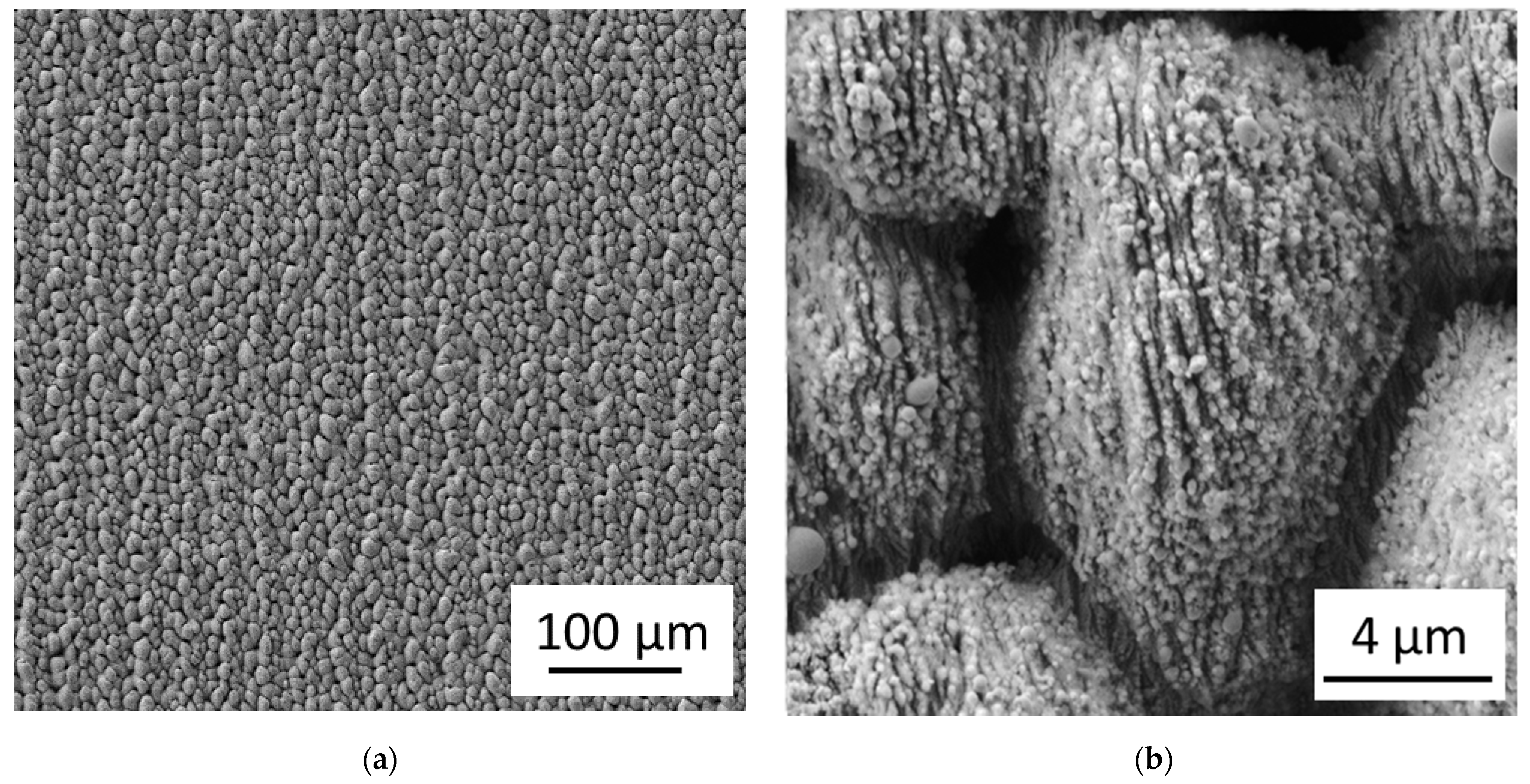 Nanomaterials 11 01342 g003