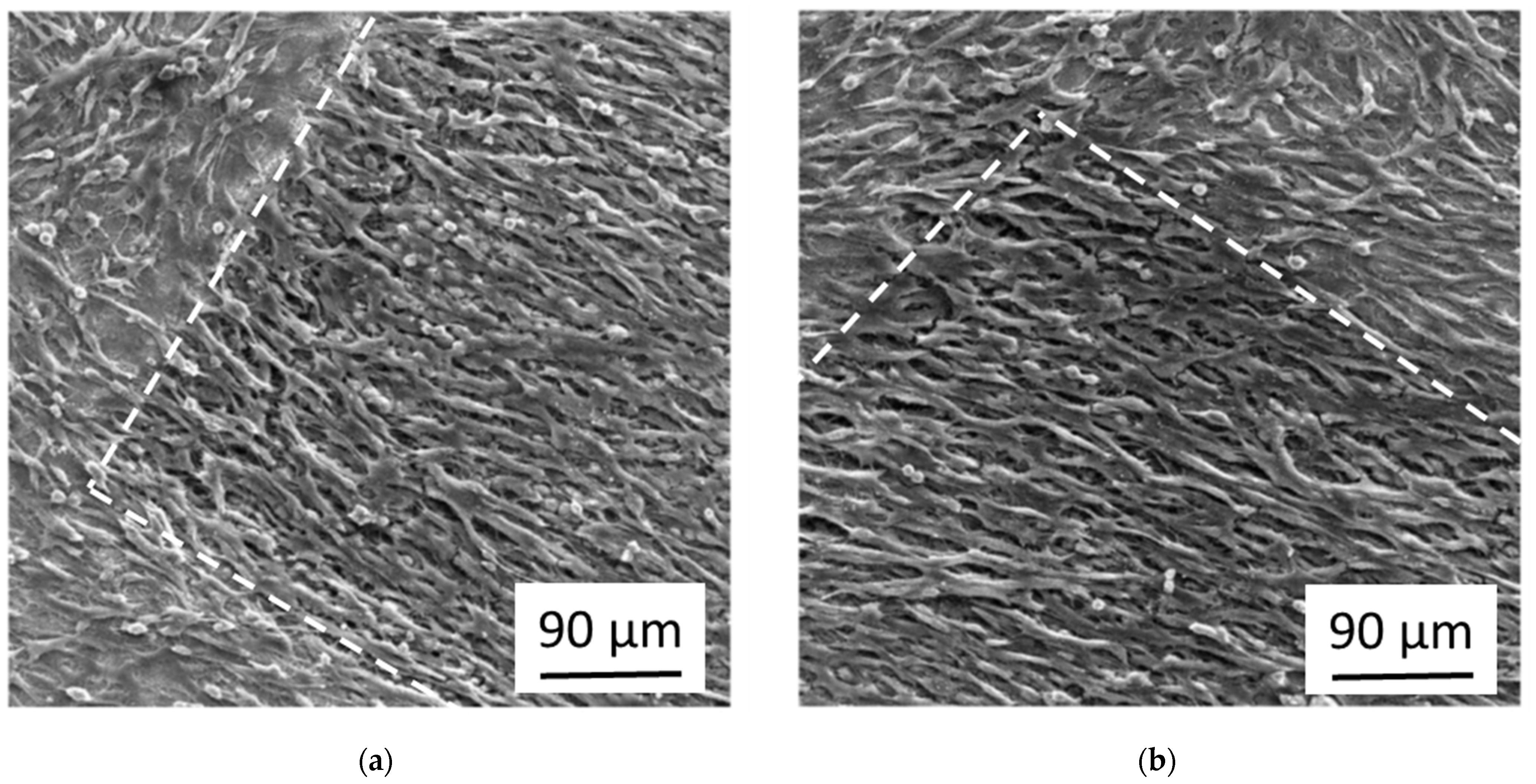 Nanomaterials 11 01342 g004
