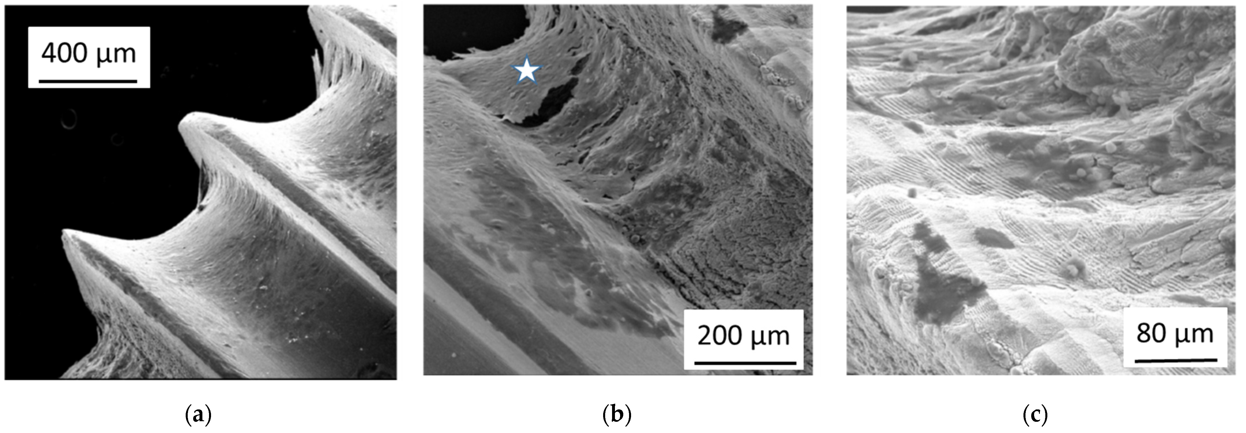Nanomaterials 11 01342 g006