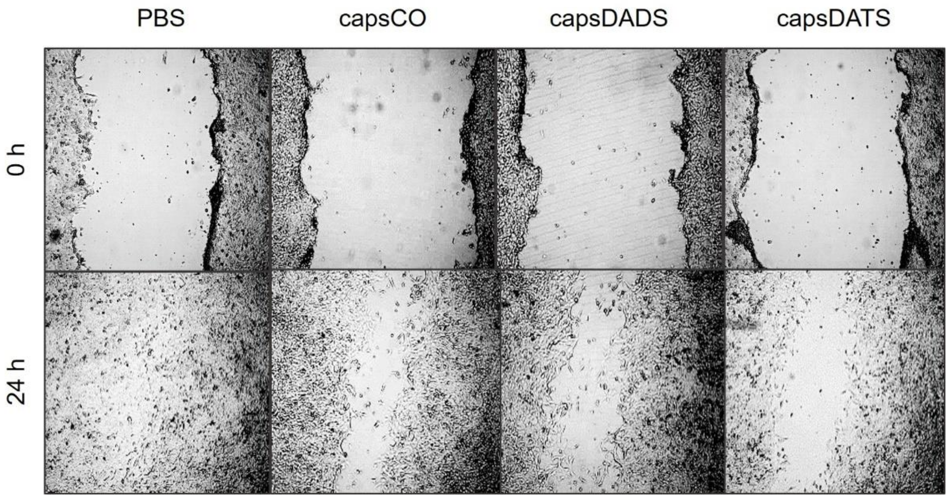 Nanomaterials 11 01354 g008 Nanomaterials 11 01354 g008