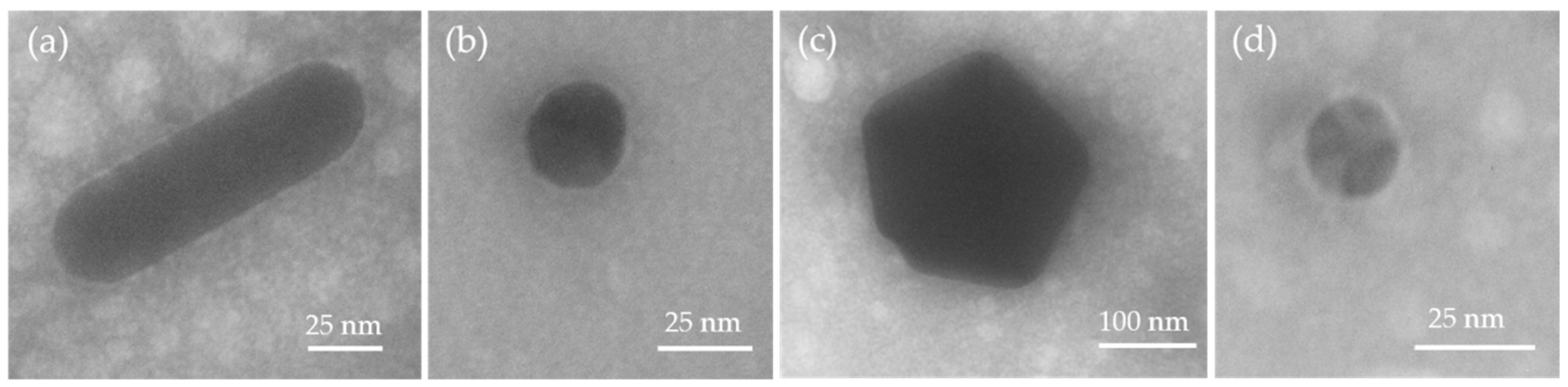 Nanomaterials 11 01358 g002