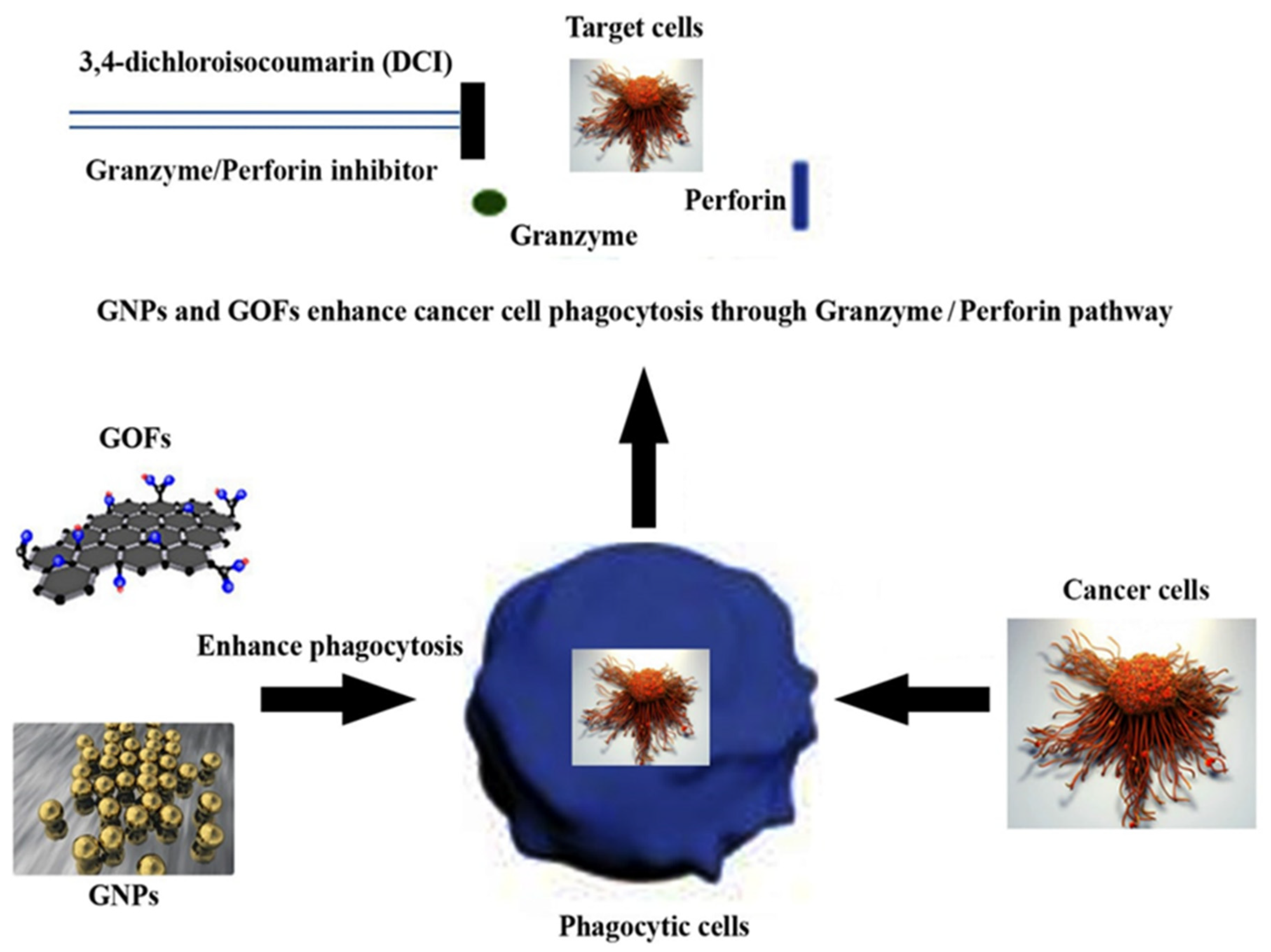 Nanomaterials 11 01382 g001 Nanomaterials 11 01382 g001