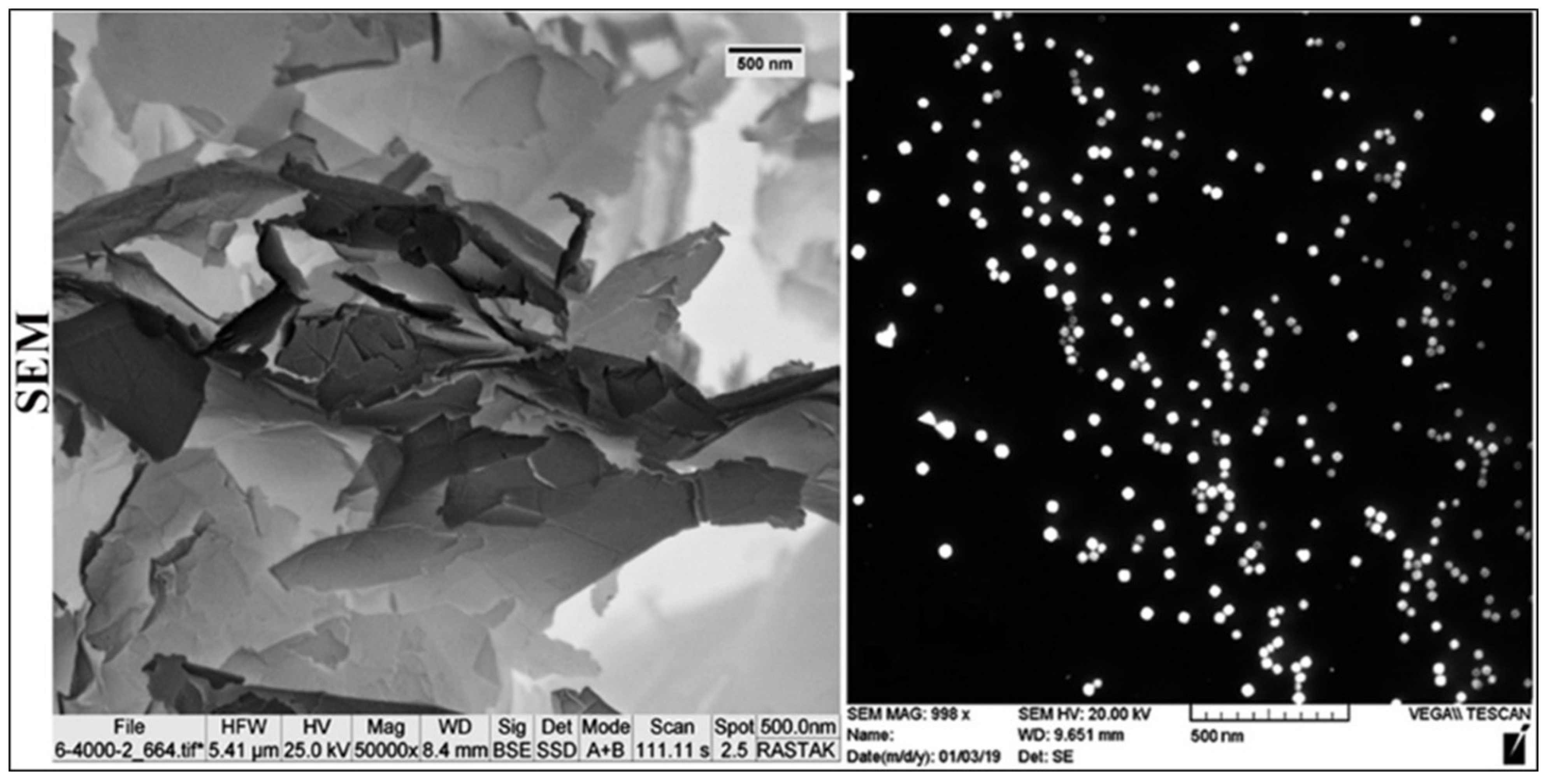 Nanomaterials 11 01382 g002 Nanomaterials 11 01382 g002