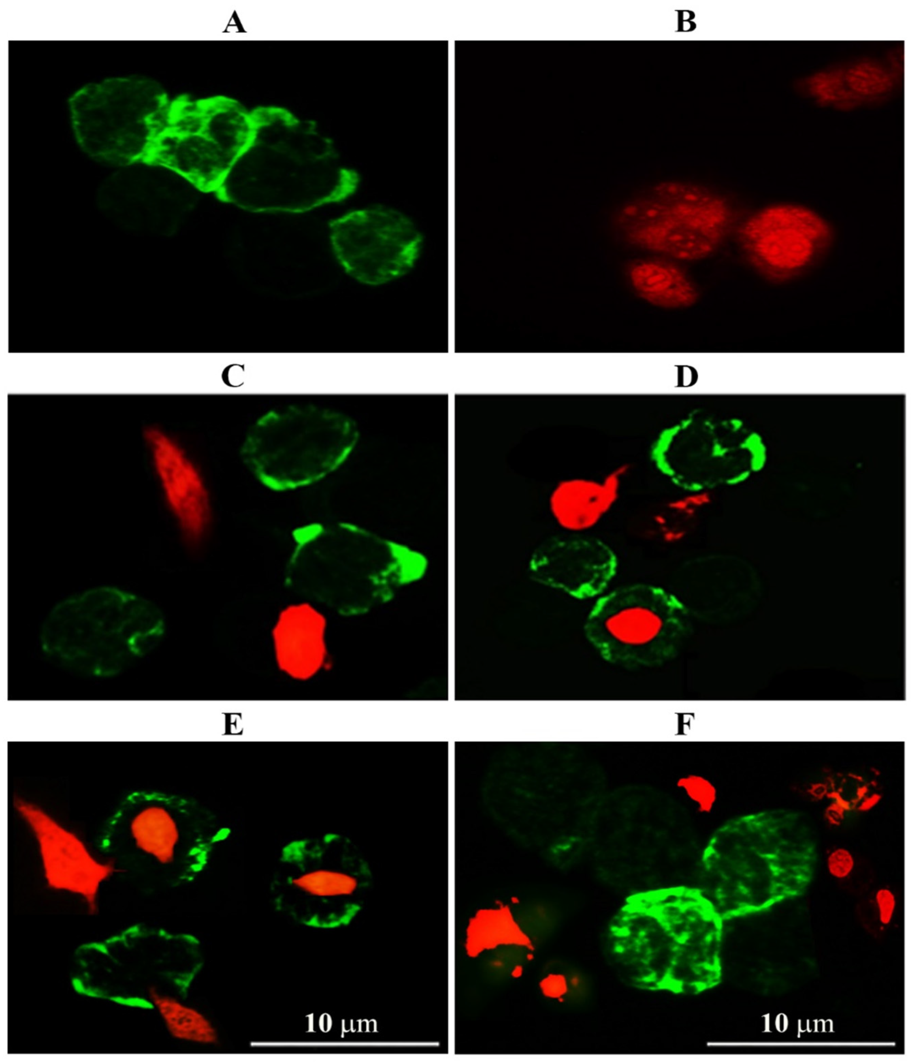 Nanomaterials 11 01382 g003 Nanomaterials 11 01382 g003