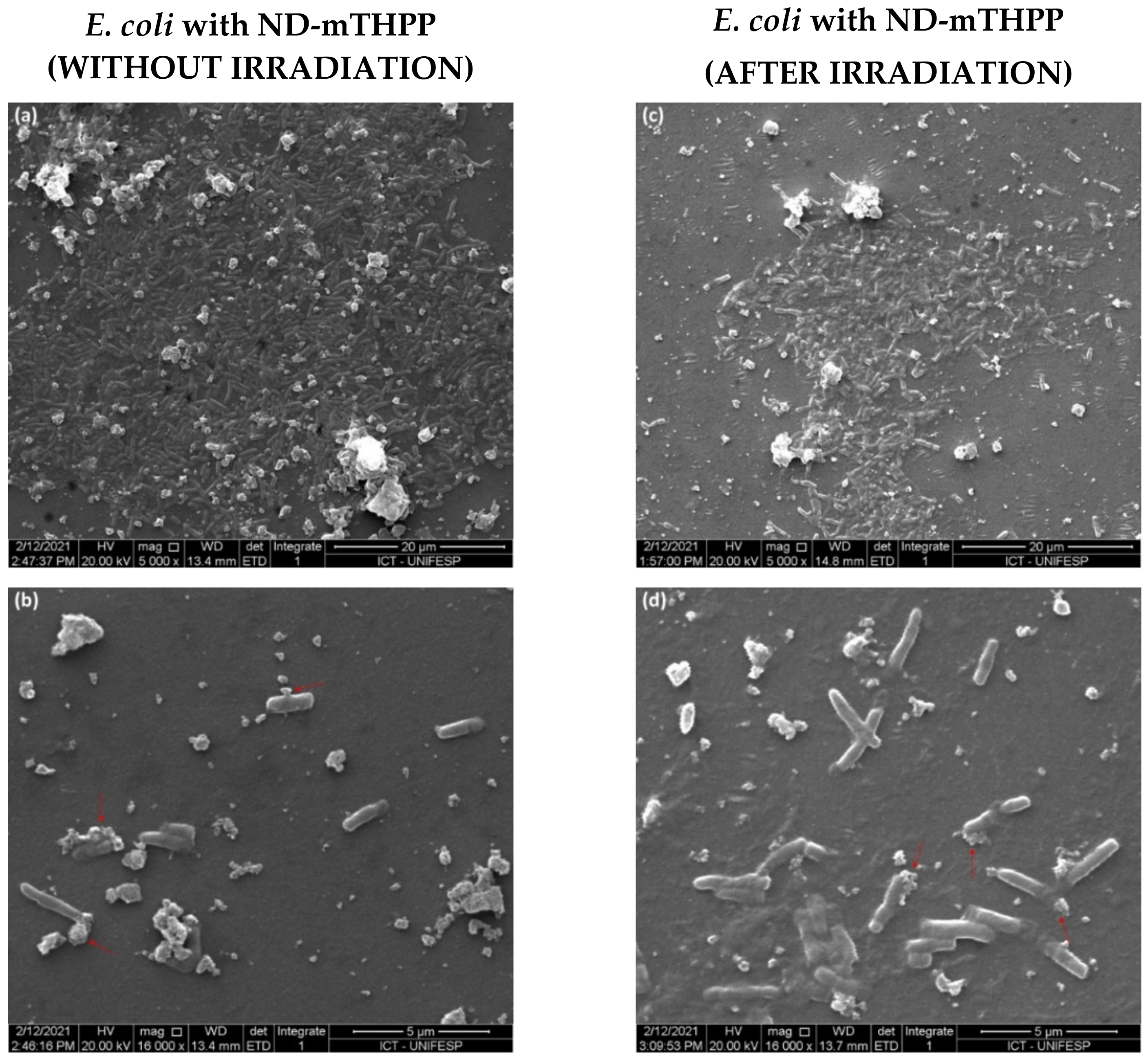 Nanomaterials 11 01393 g006