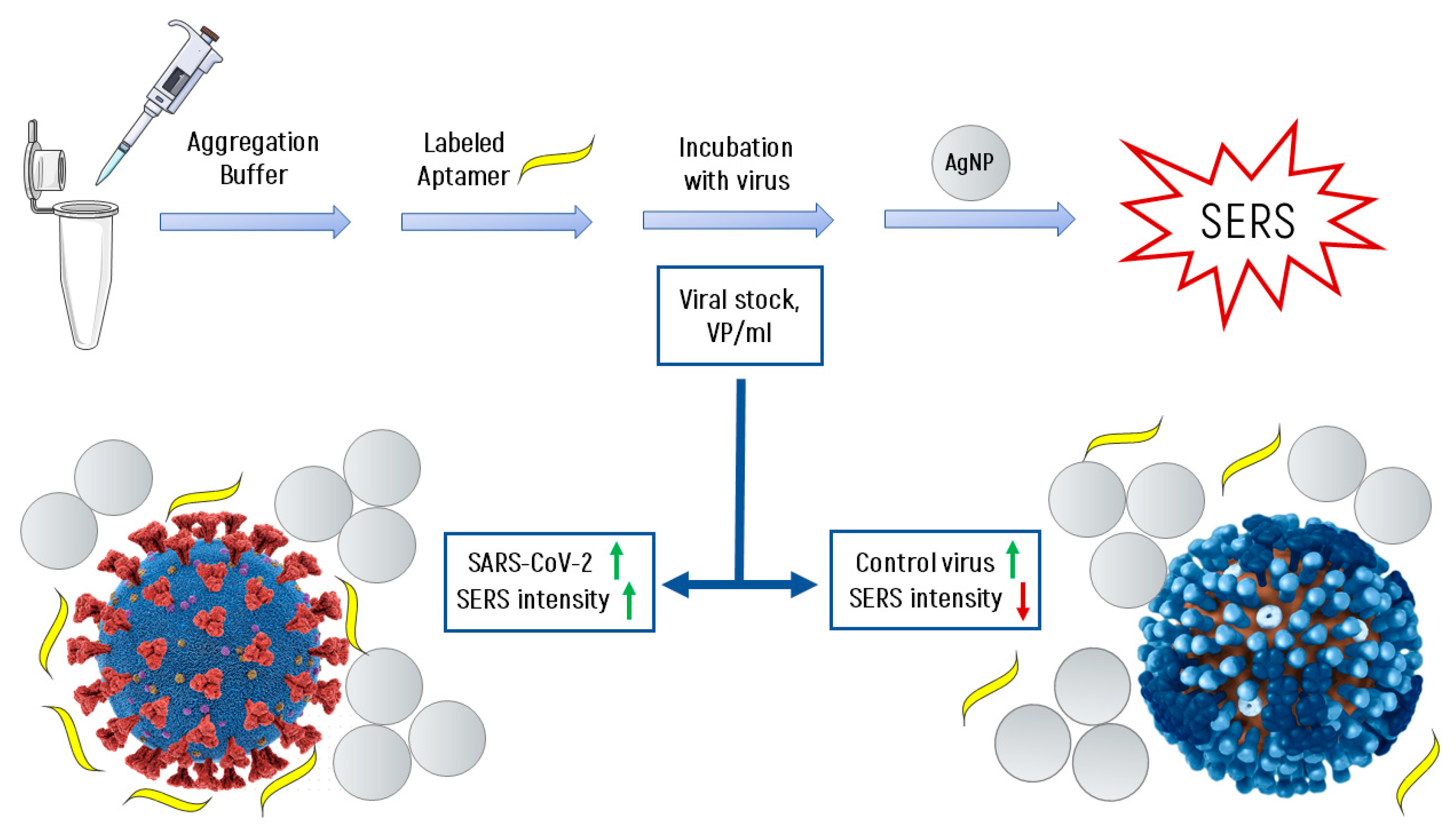 Nanomaterials 11 01394 g005