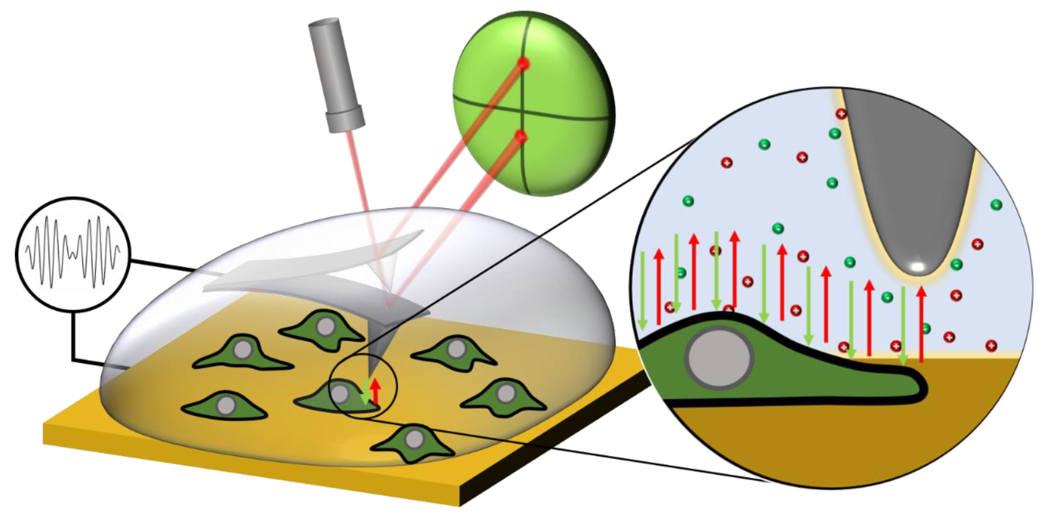 Nanomaterials 11 01402 g001
