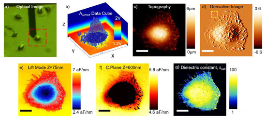 Nanomaterials 11 01402 g003