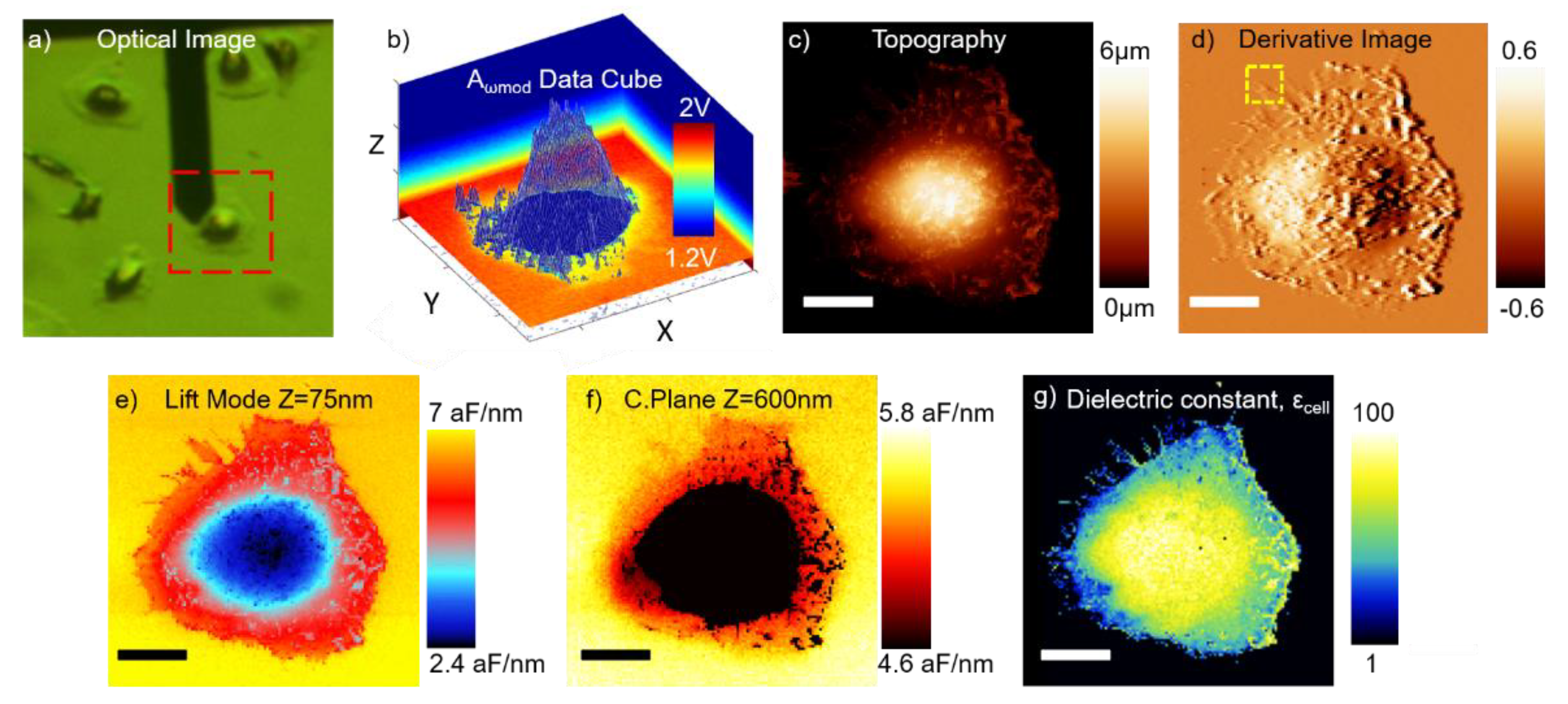 Nanomaterials 11 01402 g003