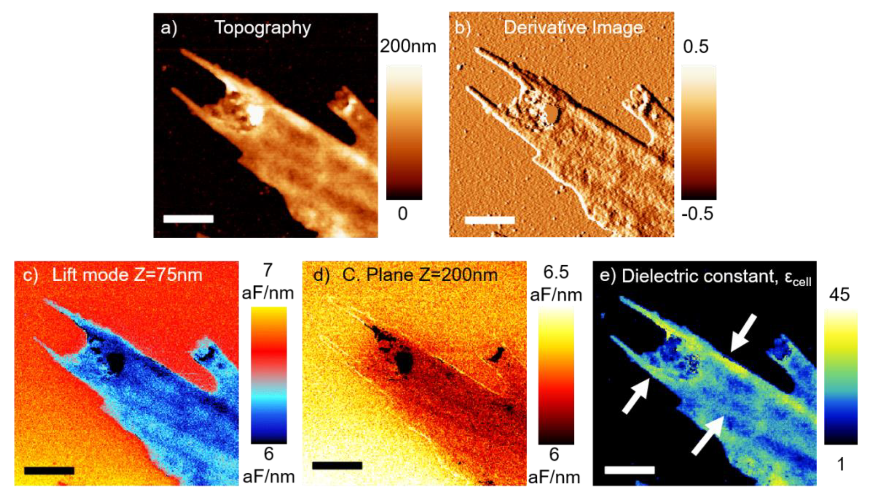 Nanomaterials 11 01402 g004