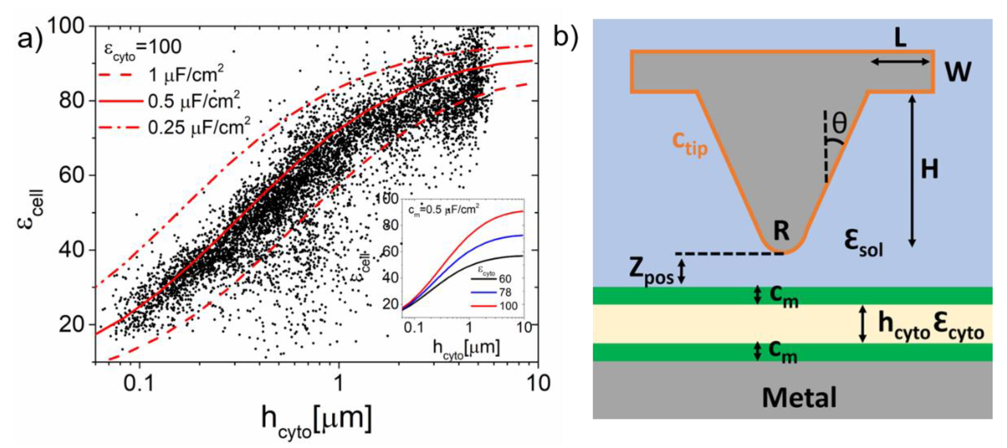 Nanomaterials 11 01402 g005