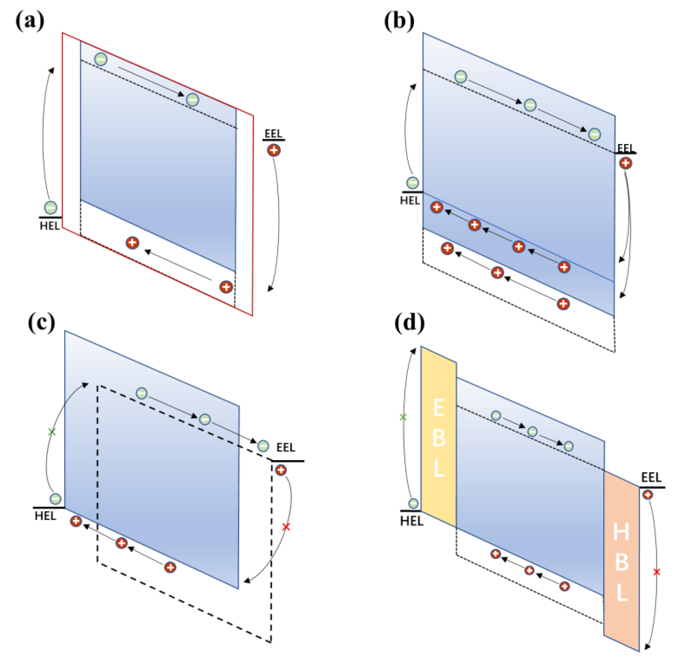 Nanomaterials 11 01404 g002