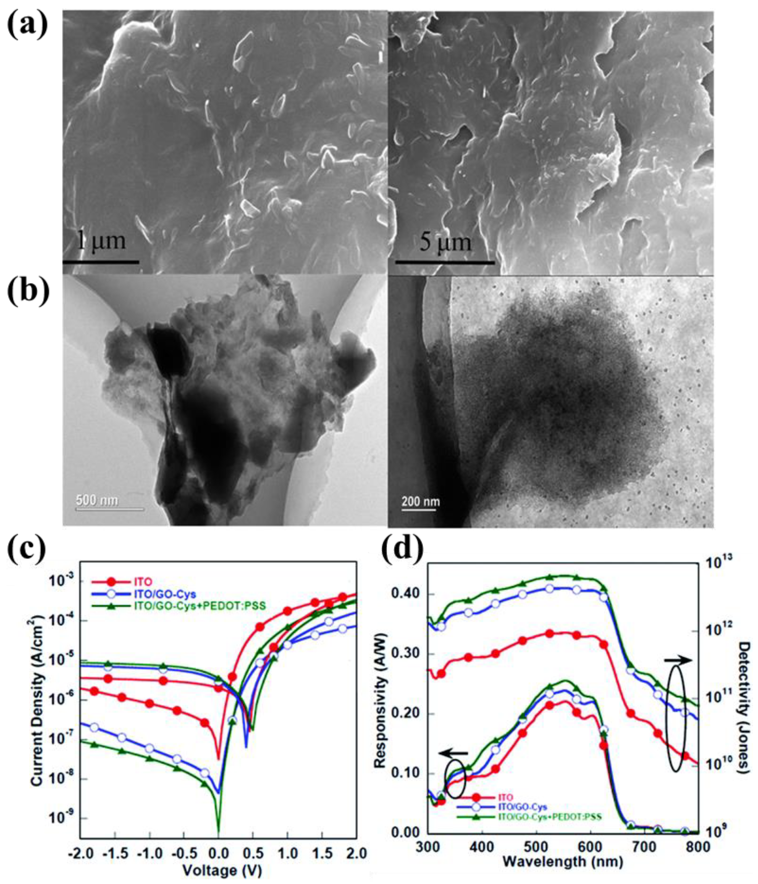 Nanomaterials 11 01404 g015