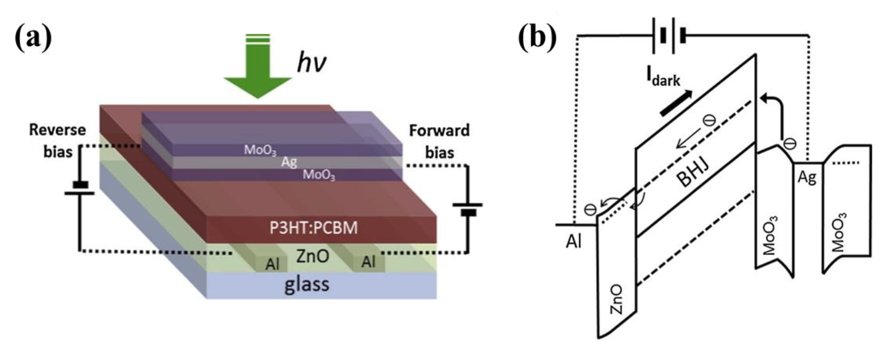 Nanomaterials 11 01404 g018