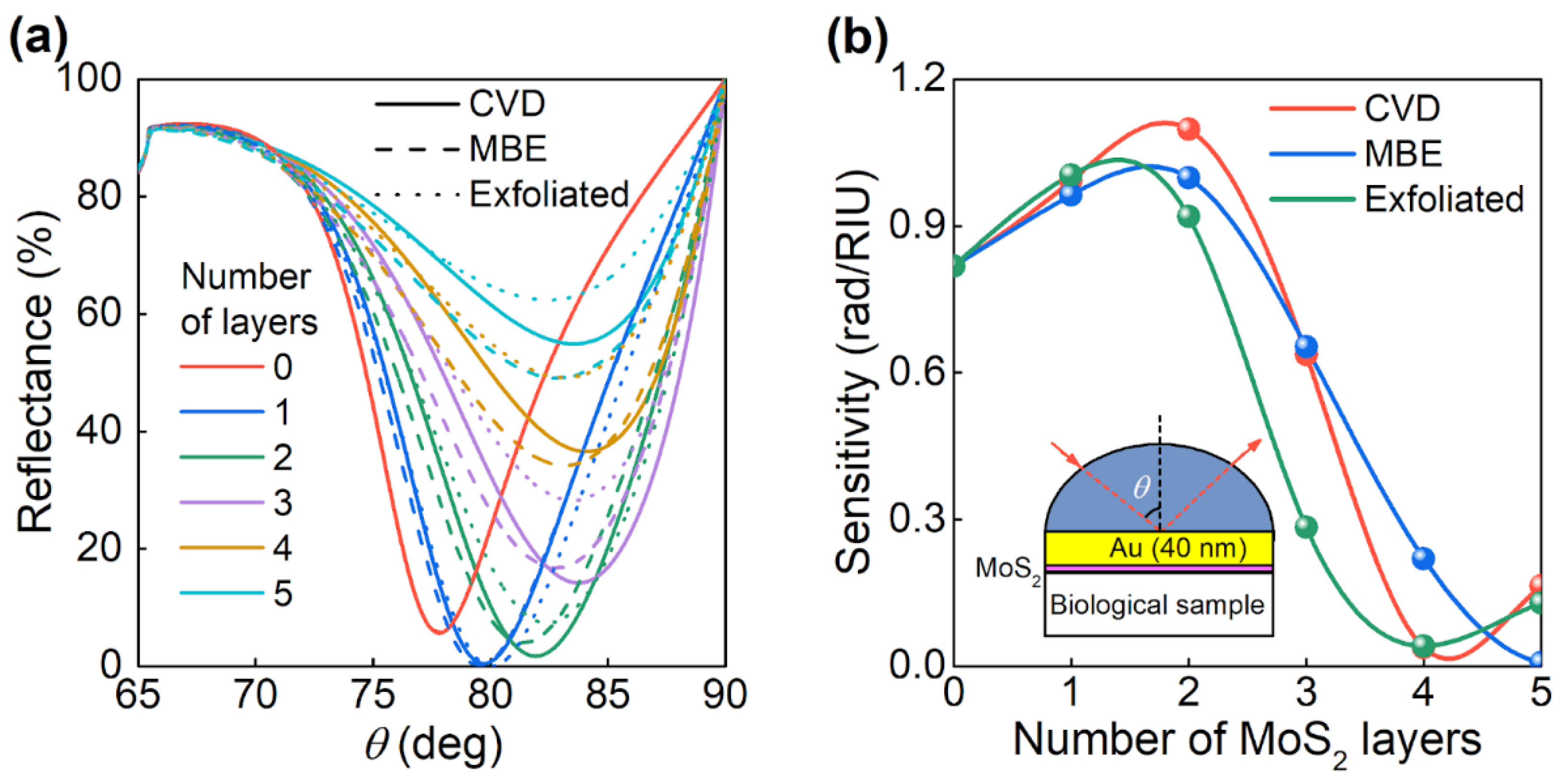 Nanomaterials 11 01411 g005