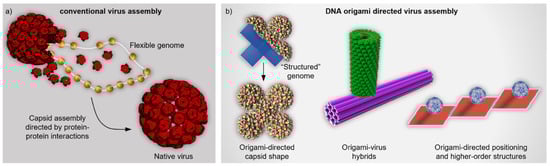 Nanomaterials 11 01413 g001