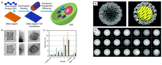 Nanomaterials 11 01413 g002
