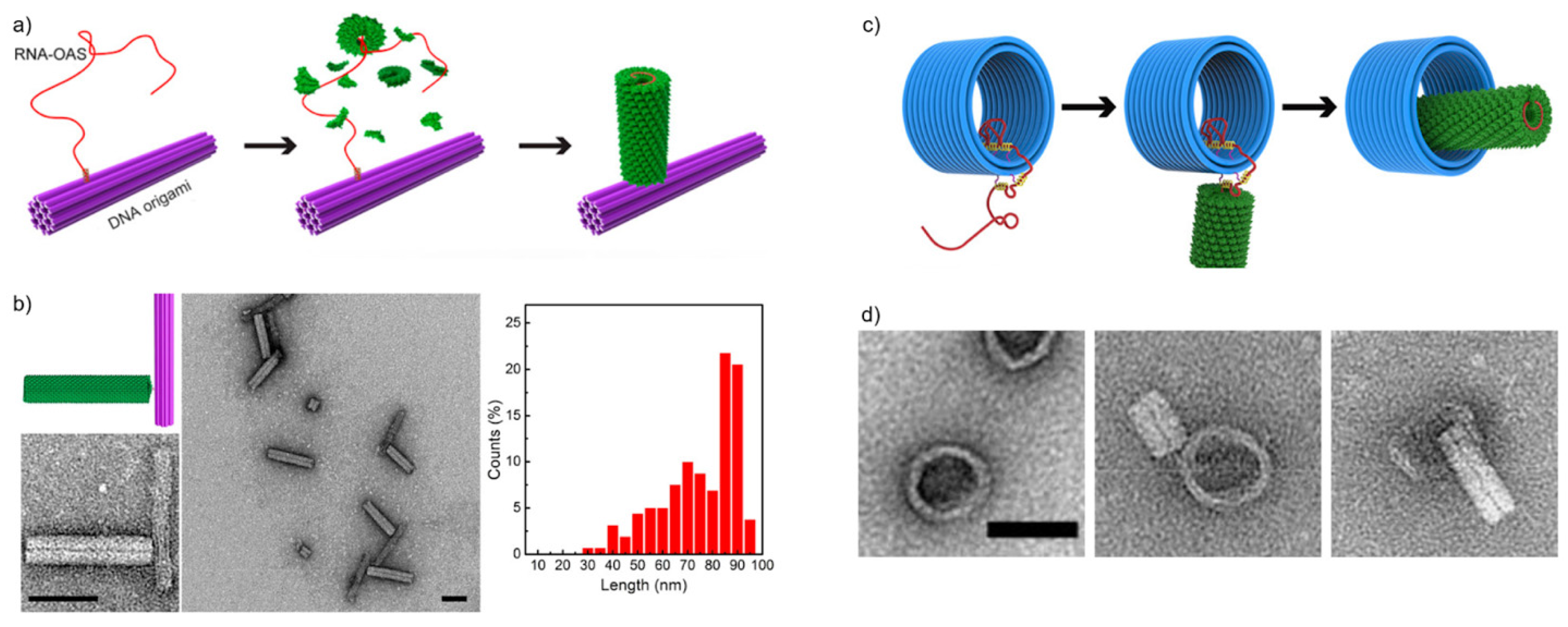 Nanomaterials 11 01413 g003