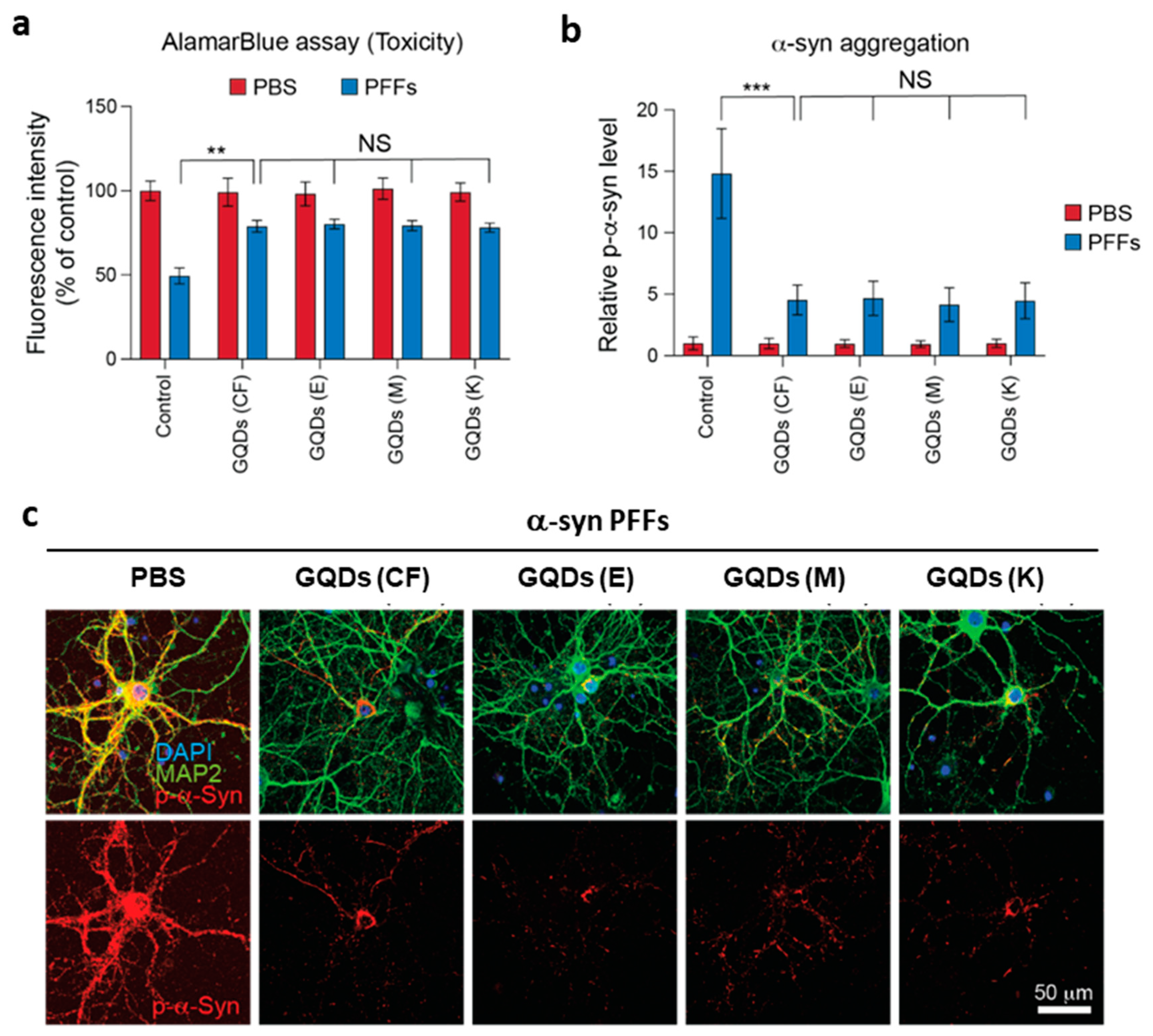 Nanomaterials 11 01423 g004