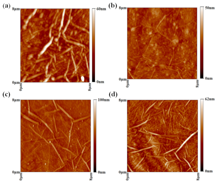 Nanomaterials 11 01428 g007