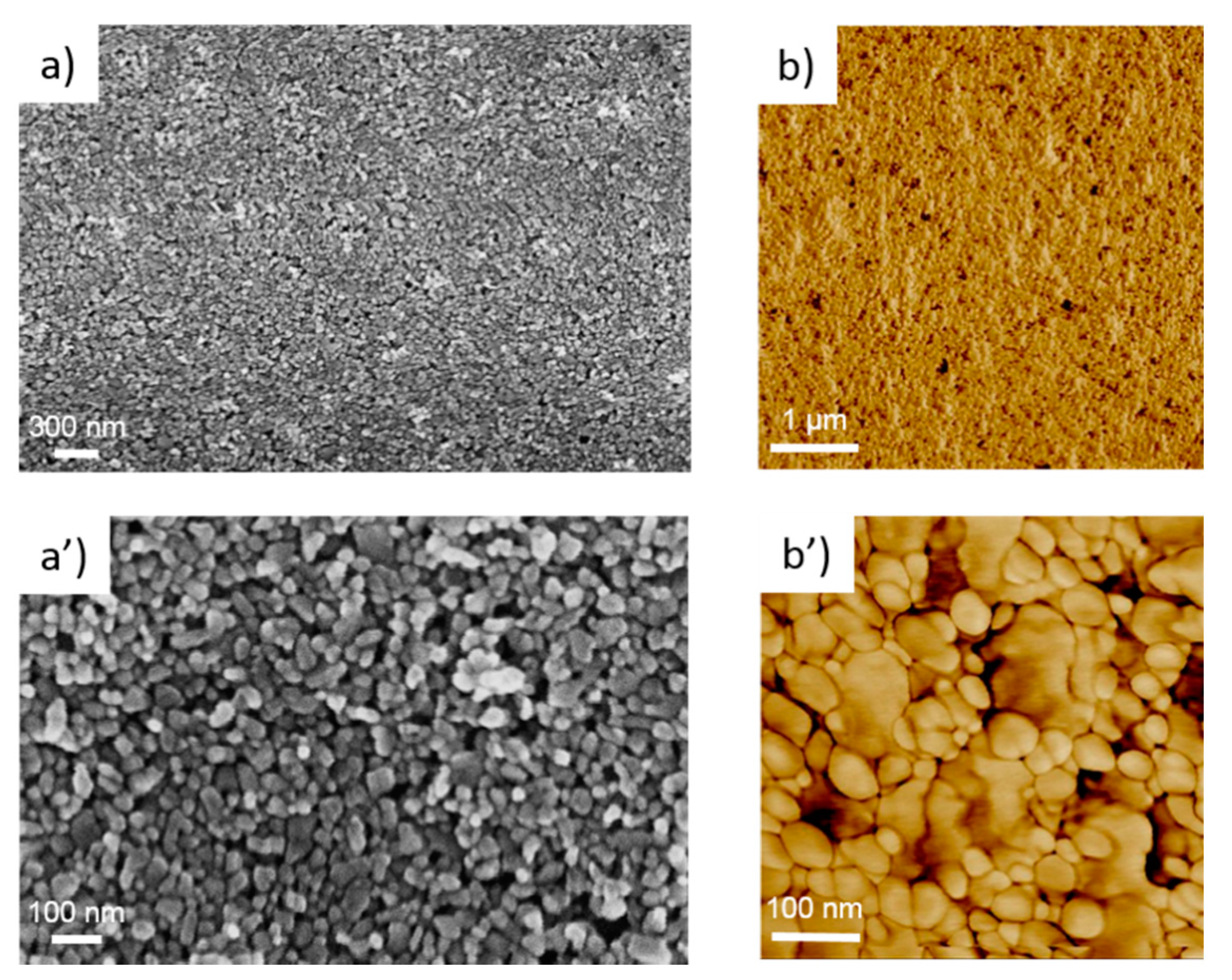Nanomaterials 11 01430 g002