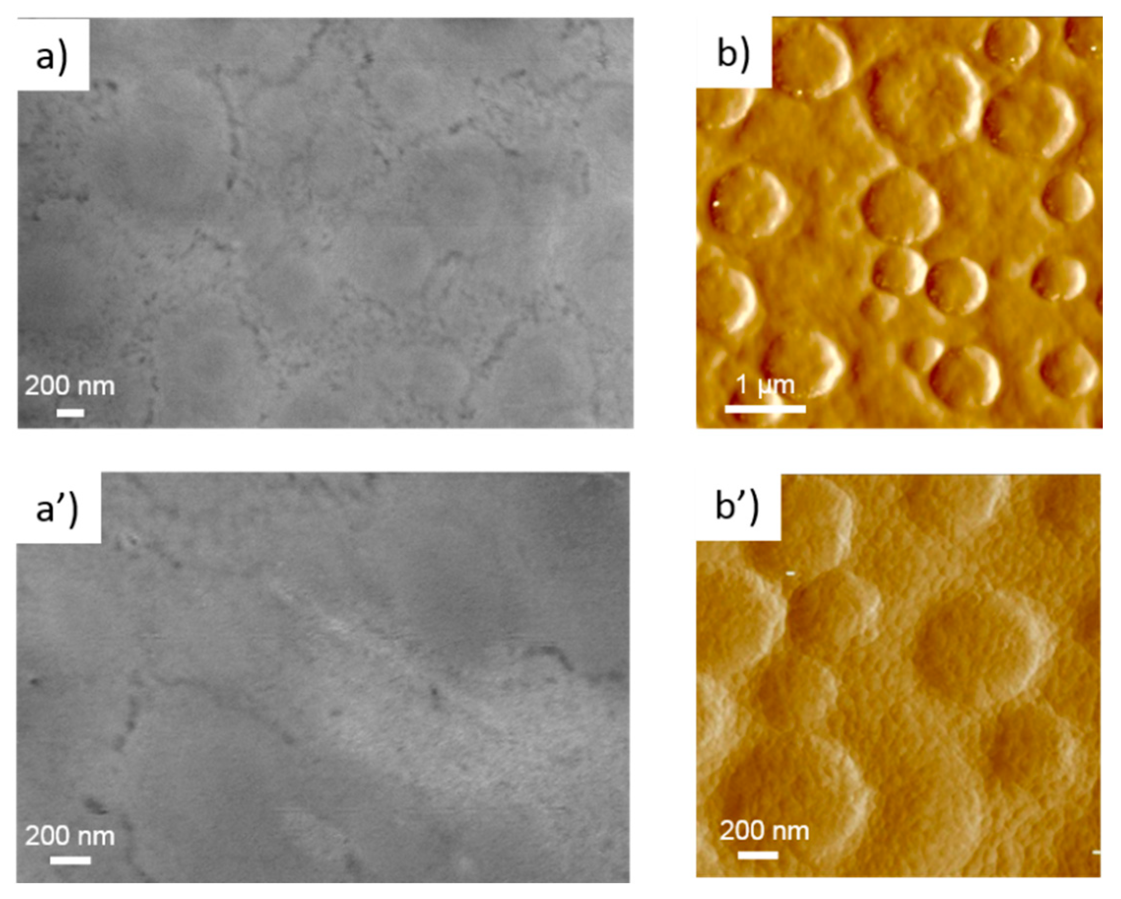 Nanomaterials 11 01430 g003